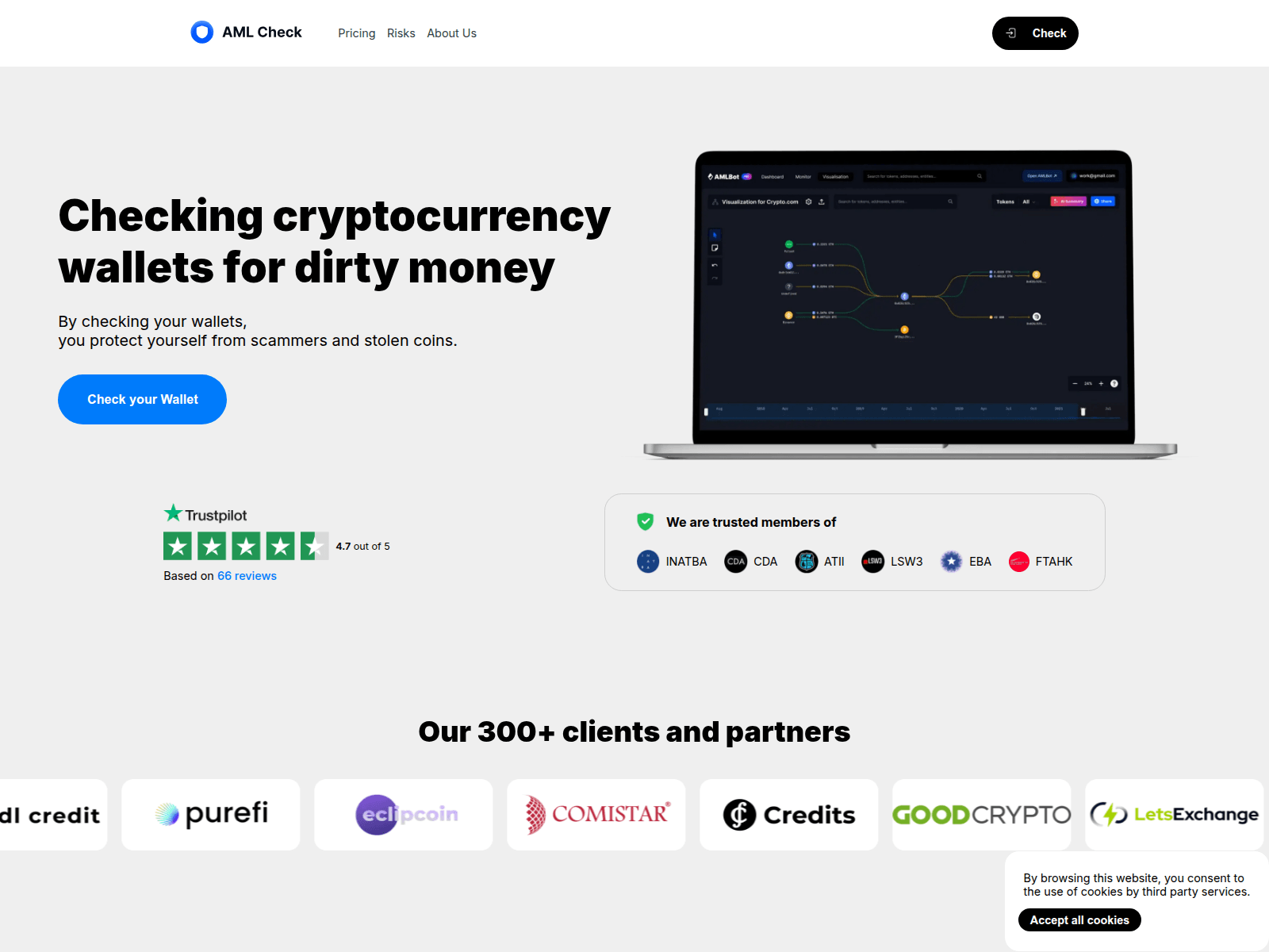 Screenshot of amlraports.com