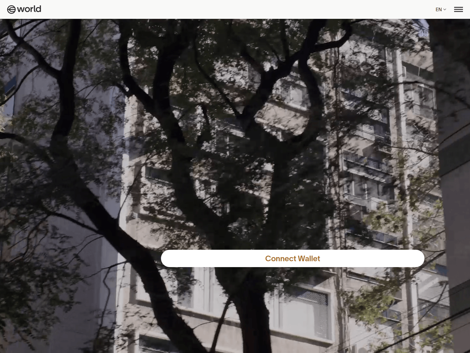 Forensic screenshot of register-world.xyz