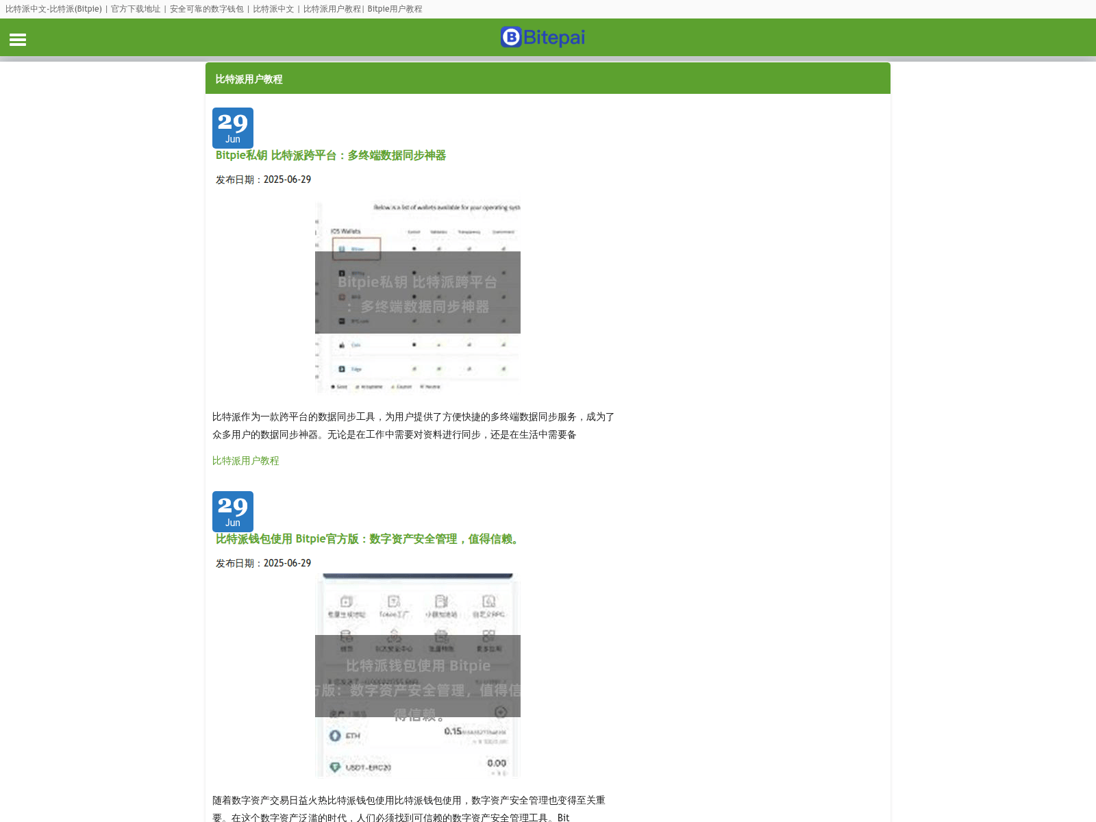 Screenshot of bitpiern.com