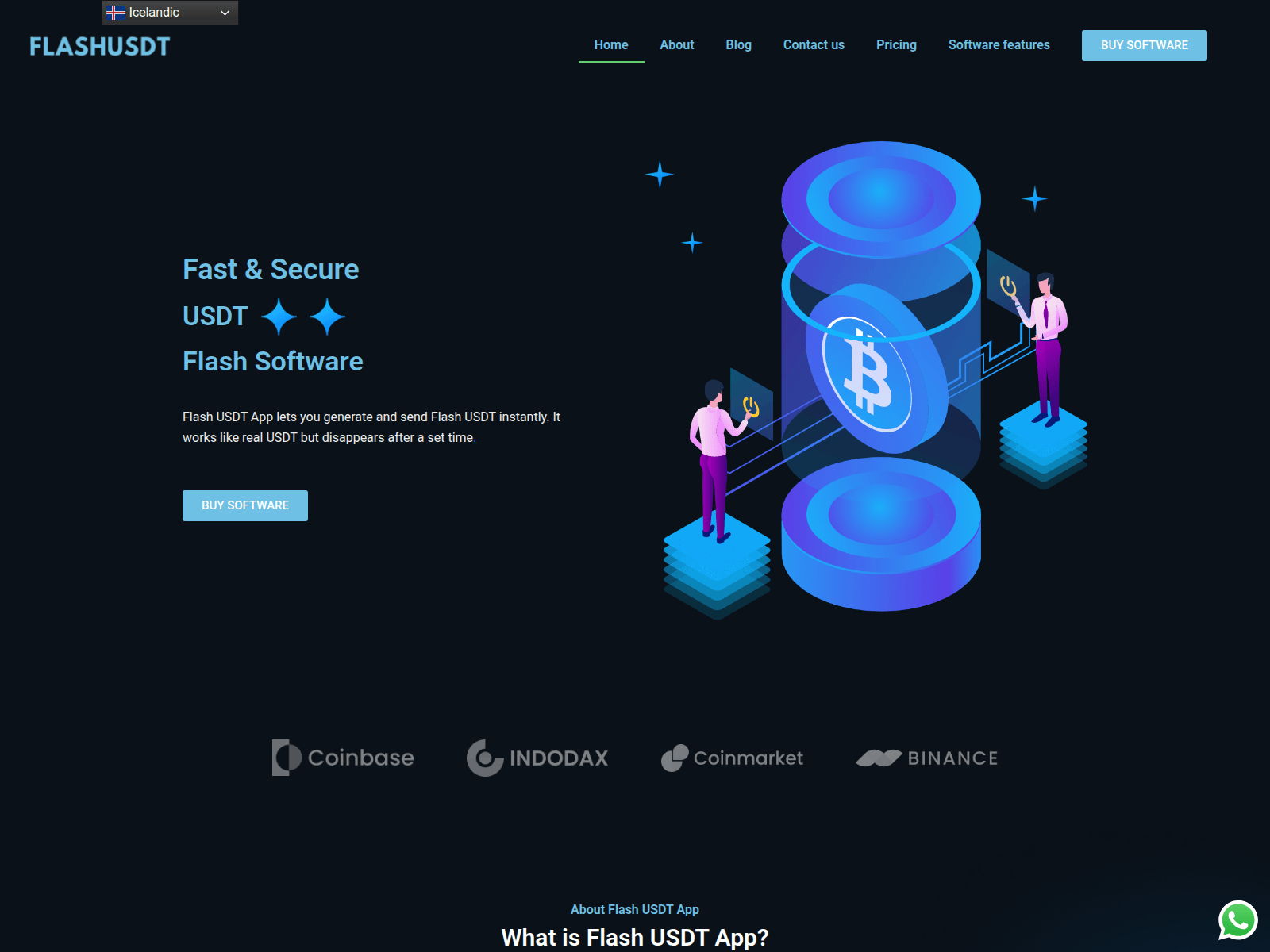 Screenshot of flashusdt-app.com