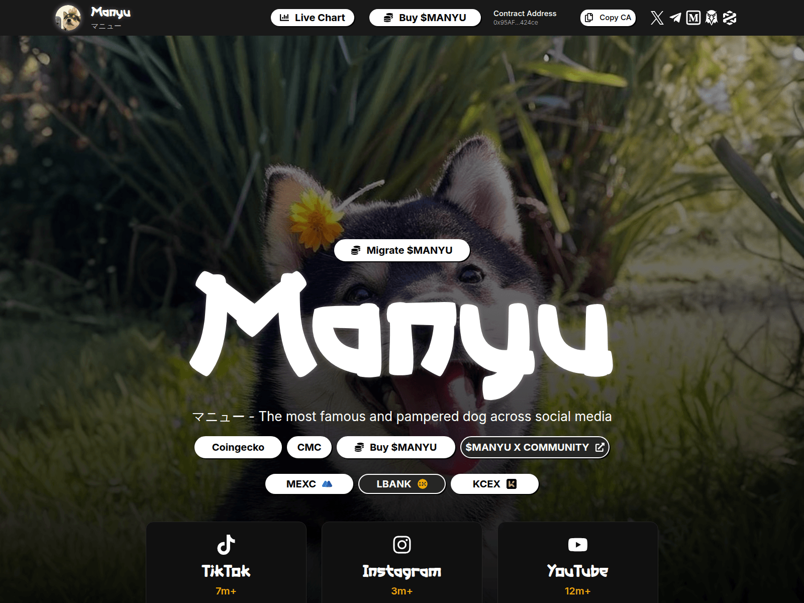 Screenshot of migratemanyushib.pro