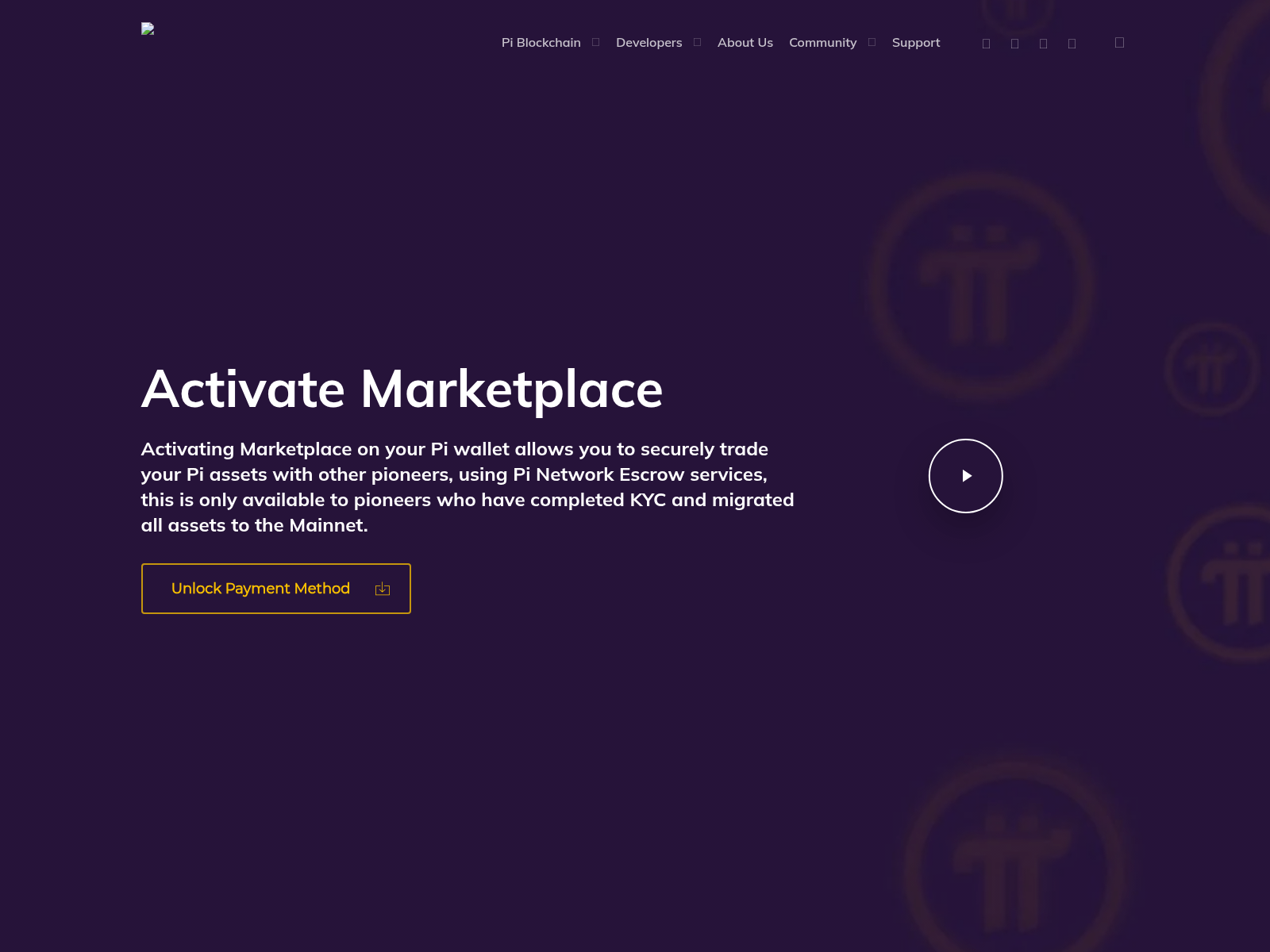 Screenshot of app.pipockethub.com