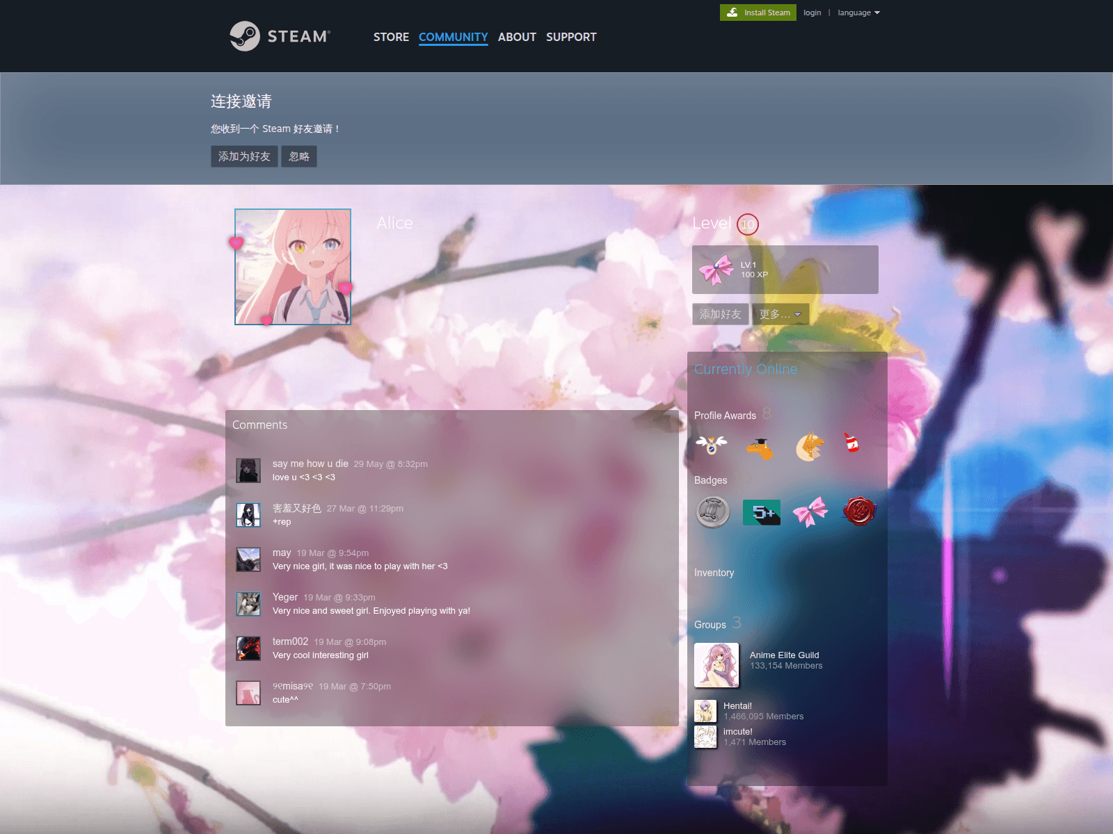 Screenshot of s.team-cnw.com