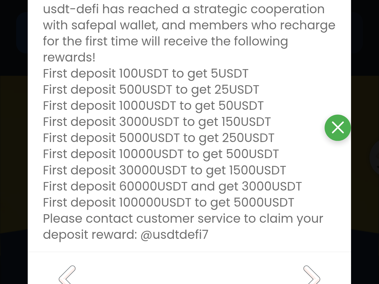 Screenshot of usdtdefii.top