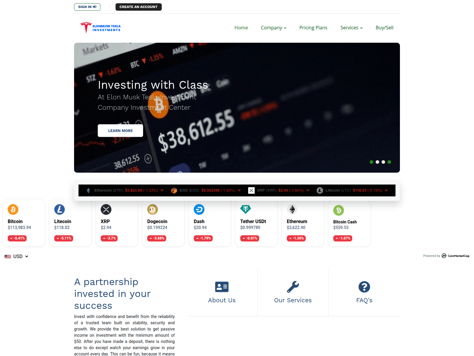 Screenshot of elonmuskteslainvestments.com