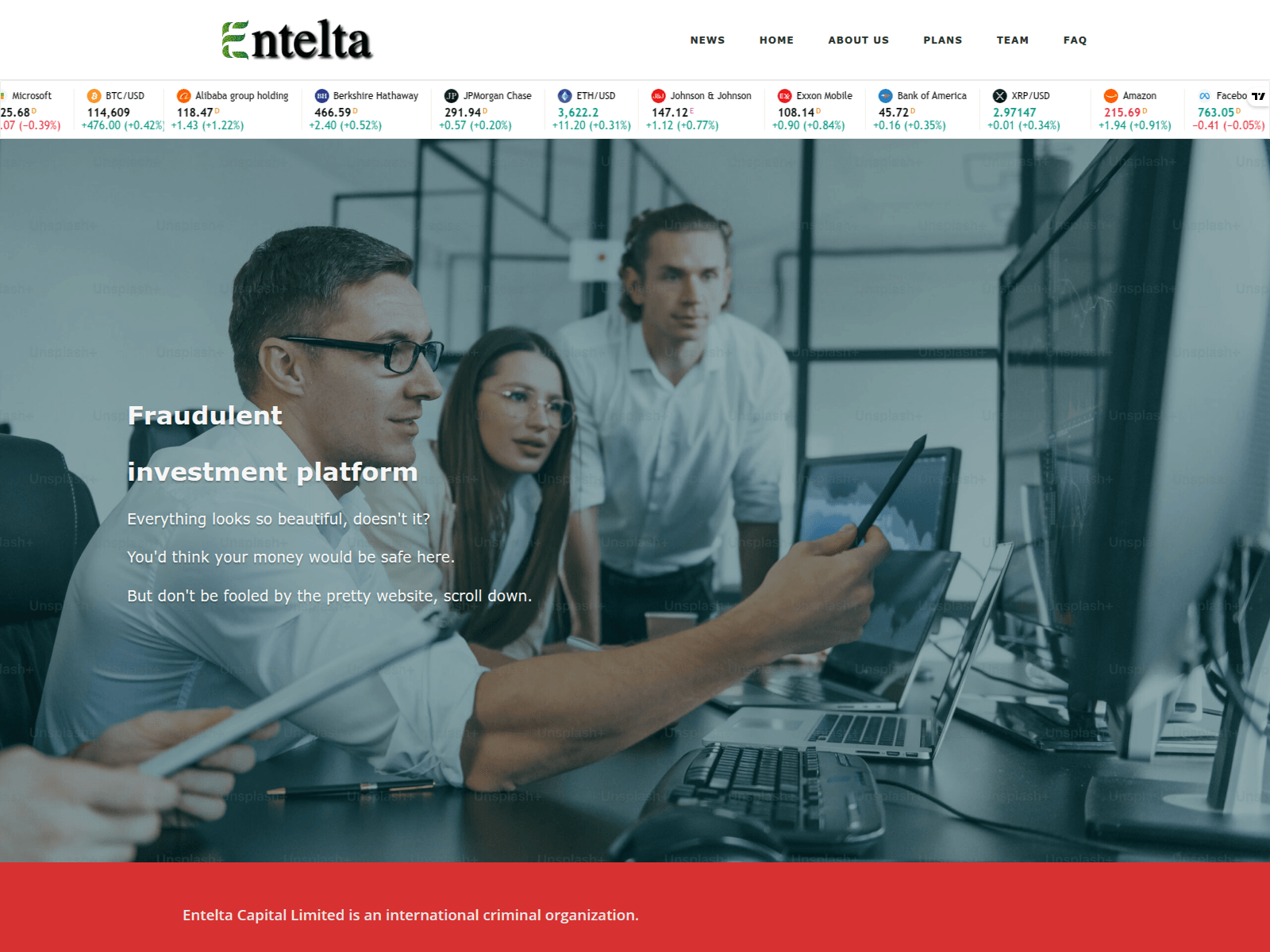 Screenshot of enteltacap.com