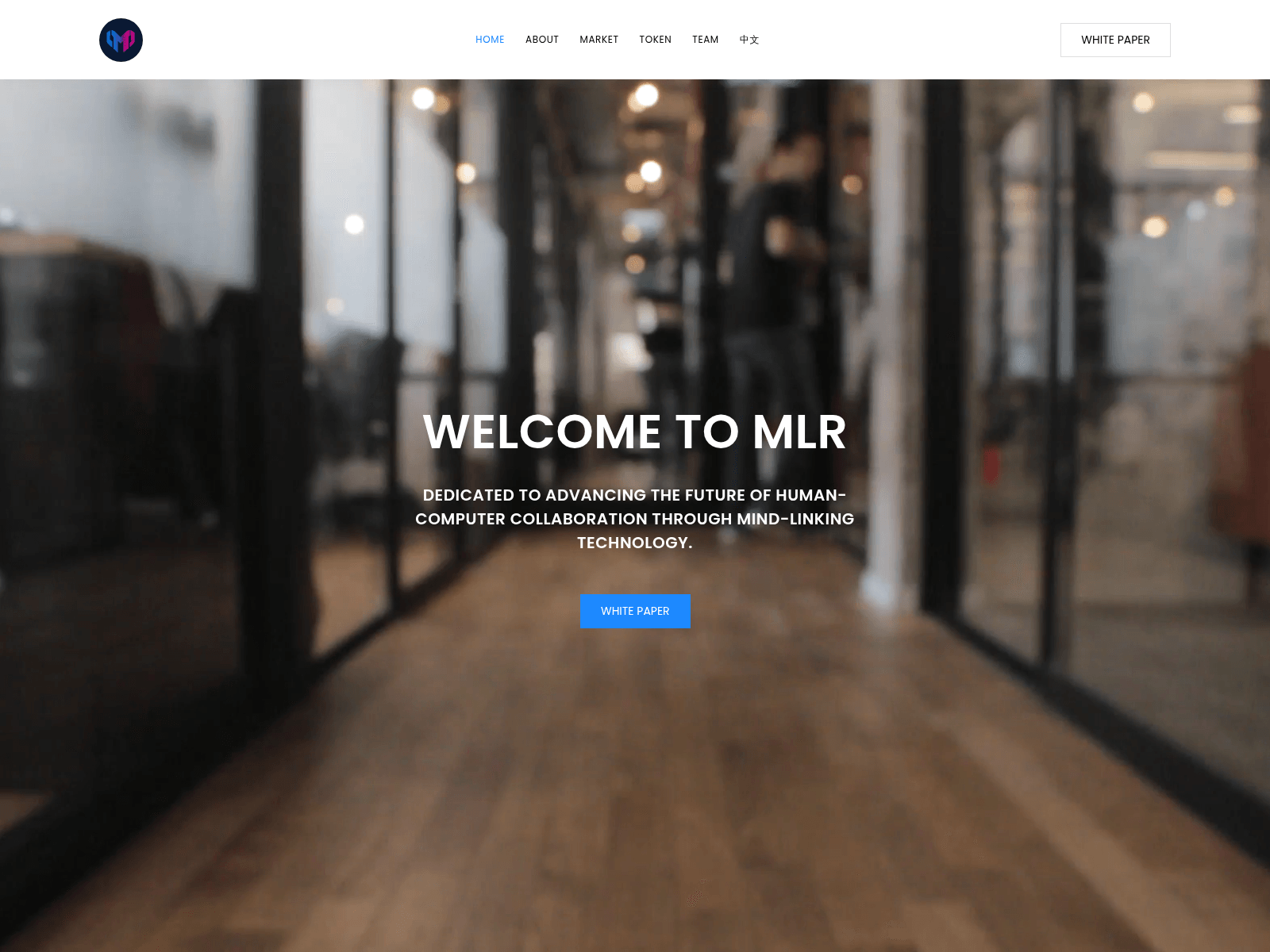 Screenshot of mlrgroup.site