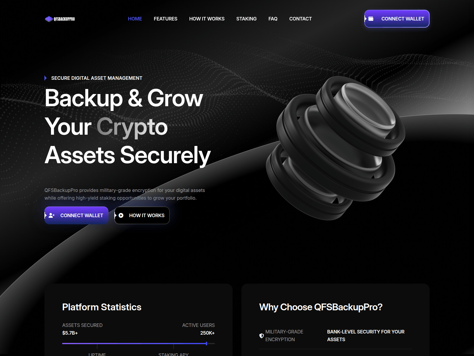 Screenshot of qfsbackuppro.com