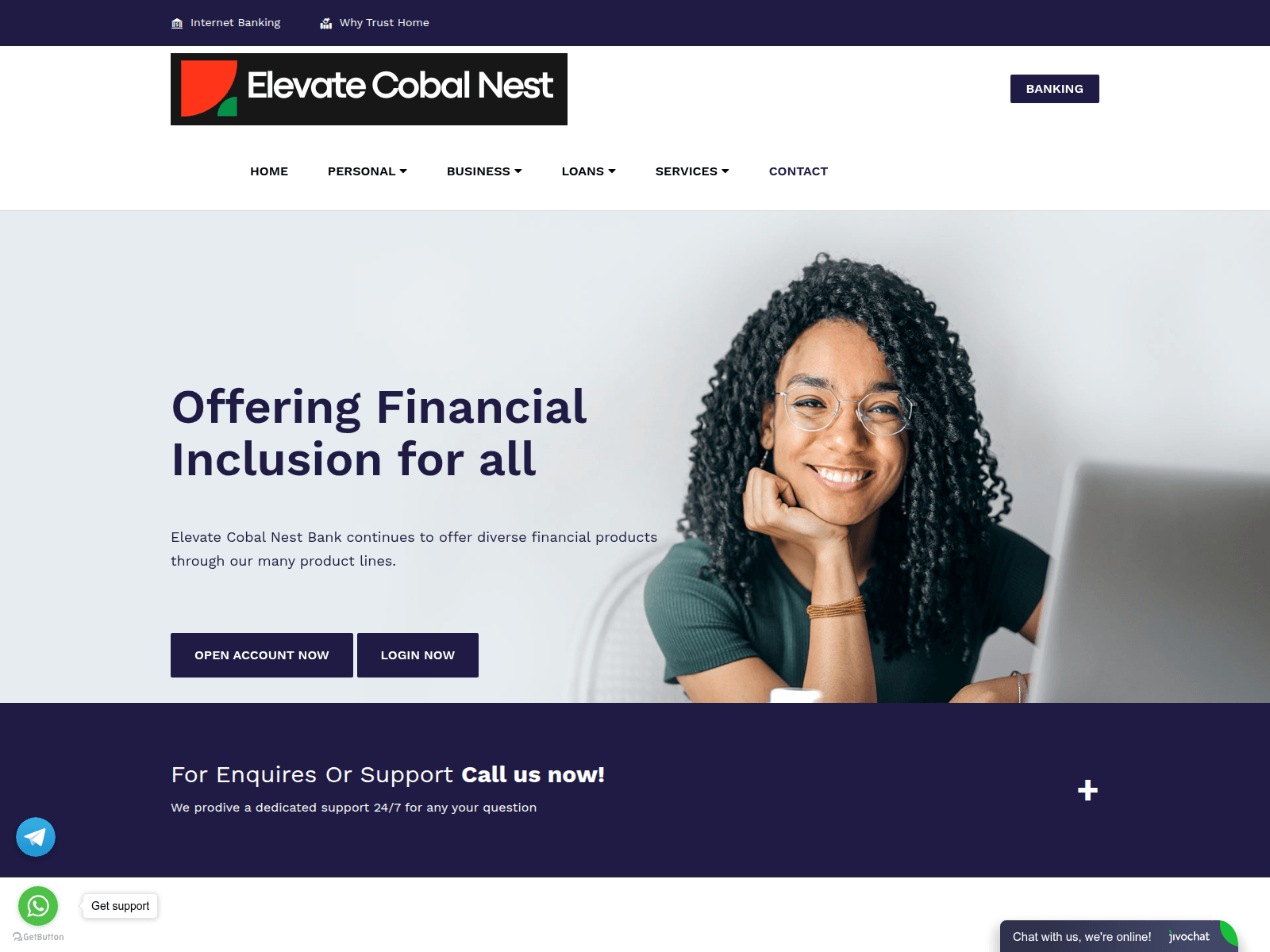 Screenshot of elevatecobalnest.com