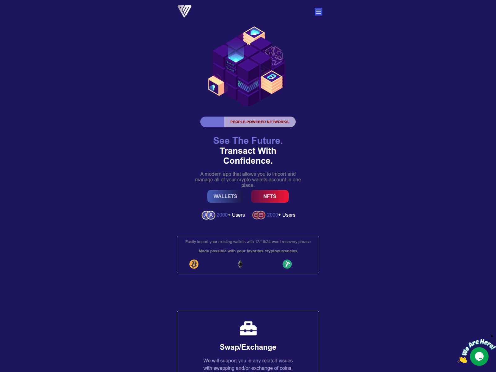 Forensic screenshot of projectmains.netlify.app