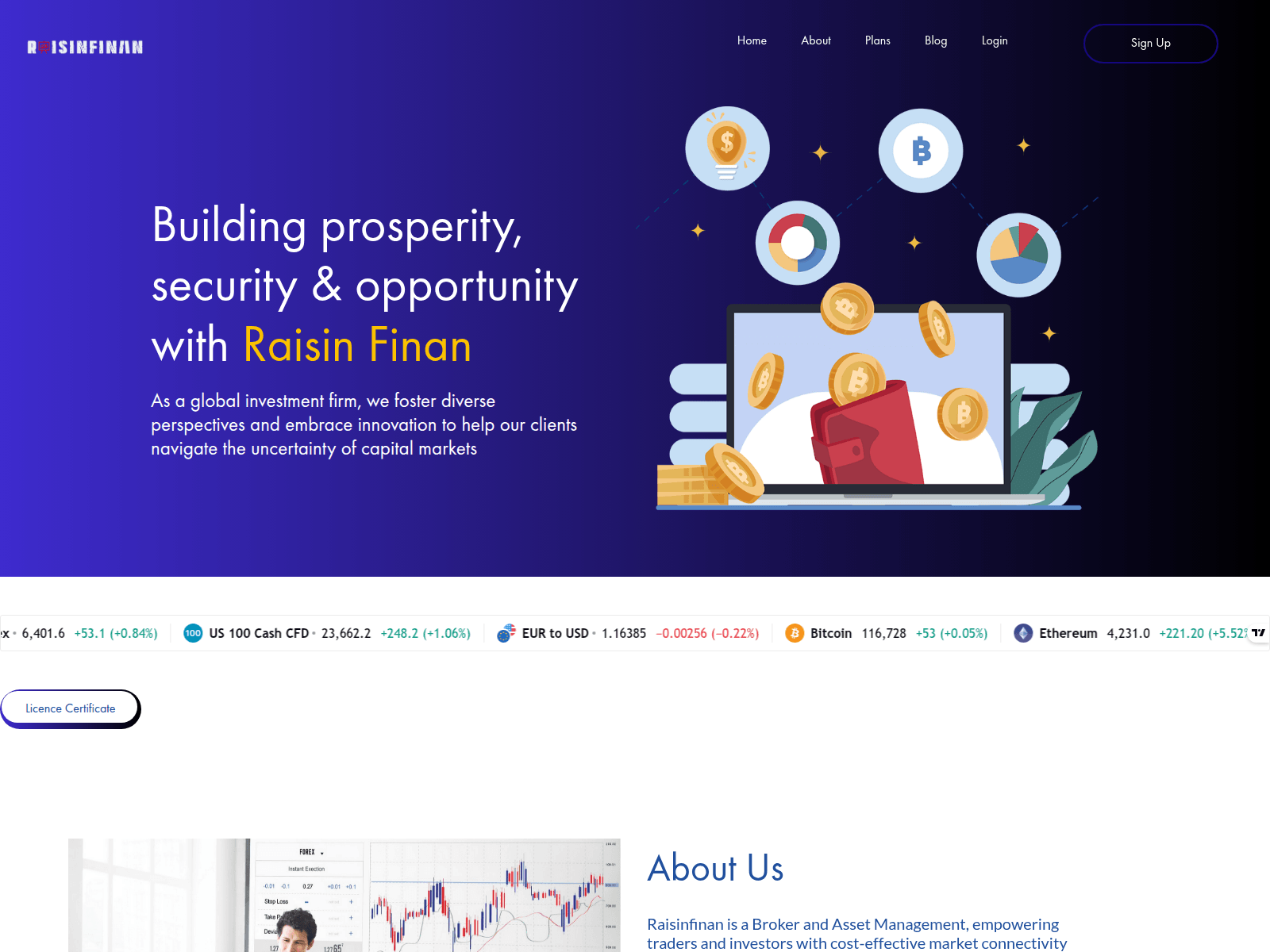 Forensic screenshot of raisinfinan.com