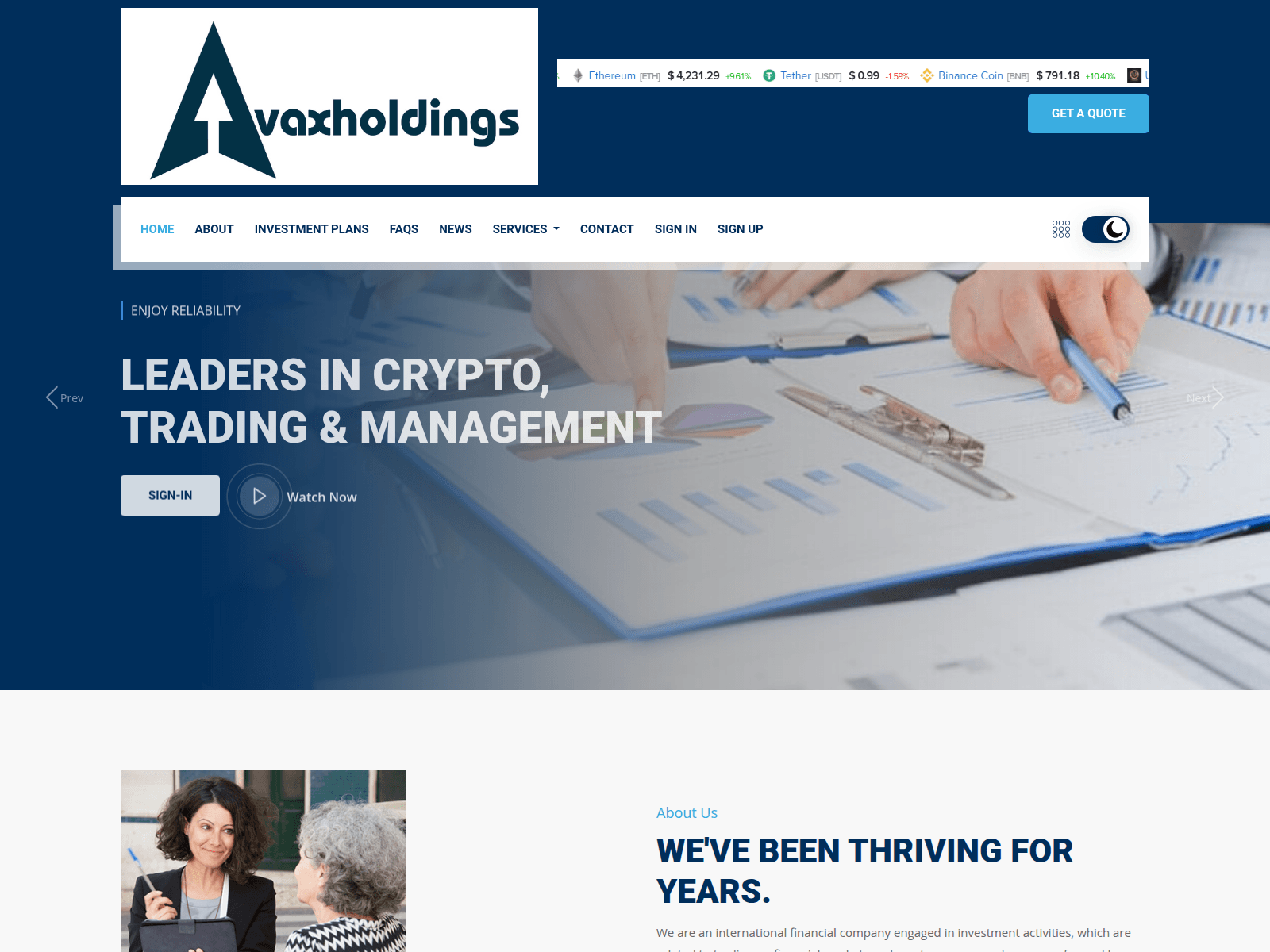 Forensic screenshot of avaxholdings.com