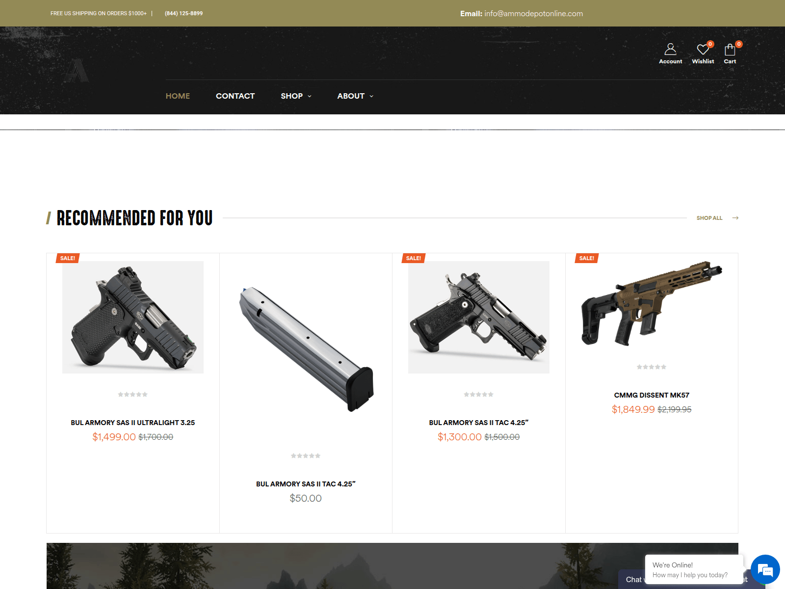 Screenshot of ammodepotonline.com