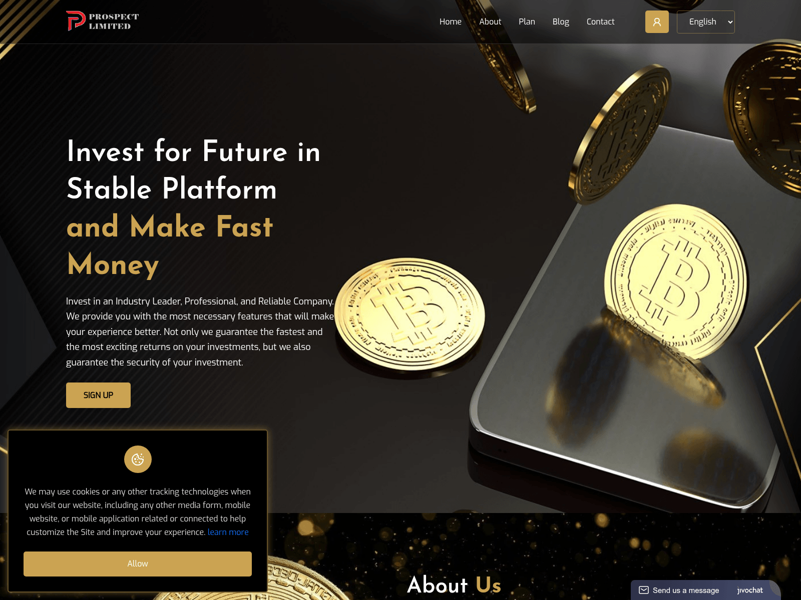 Screenshot of prospectlimited.com