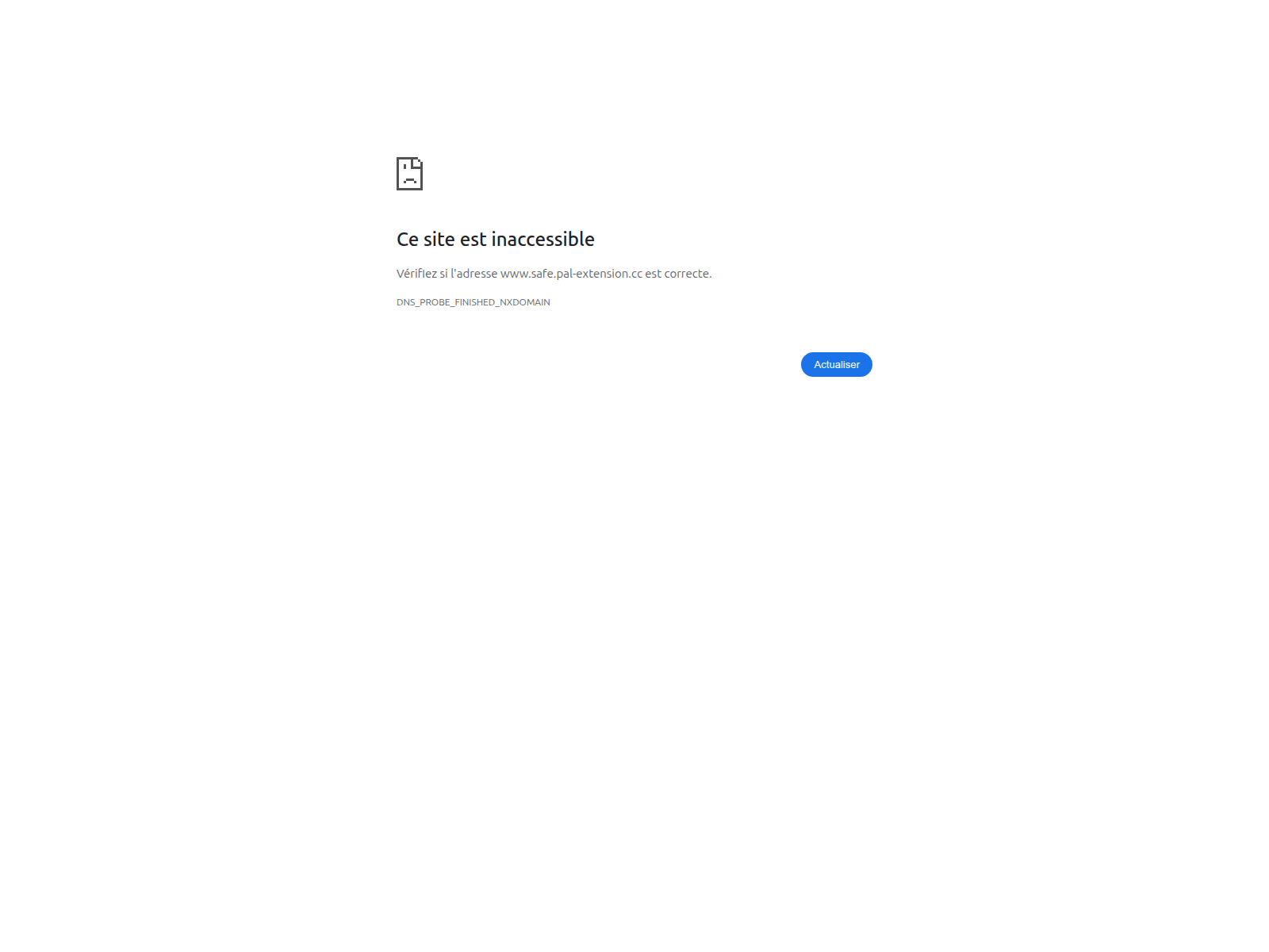 Forensic screenshot of safe.pal-extension.cc