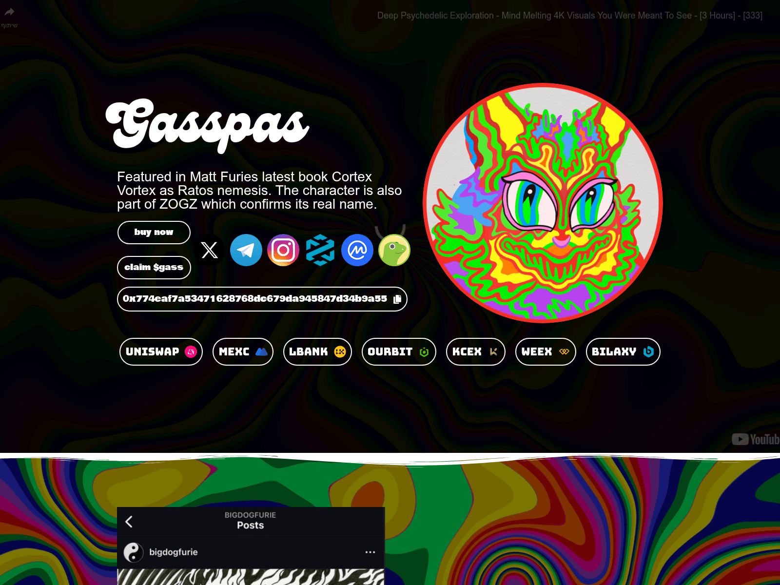 Forensic screenshot of gasspas-vip.web.app