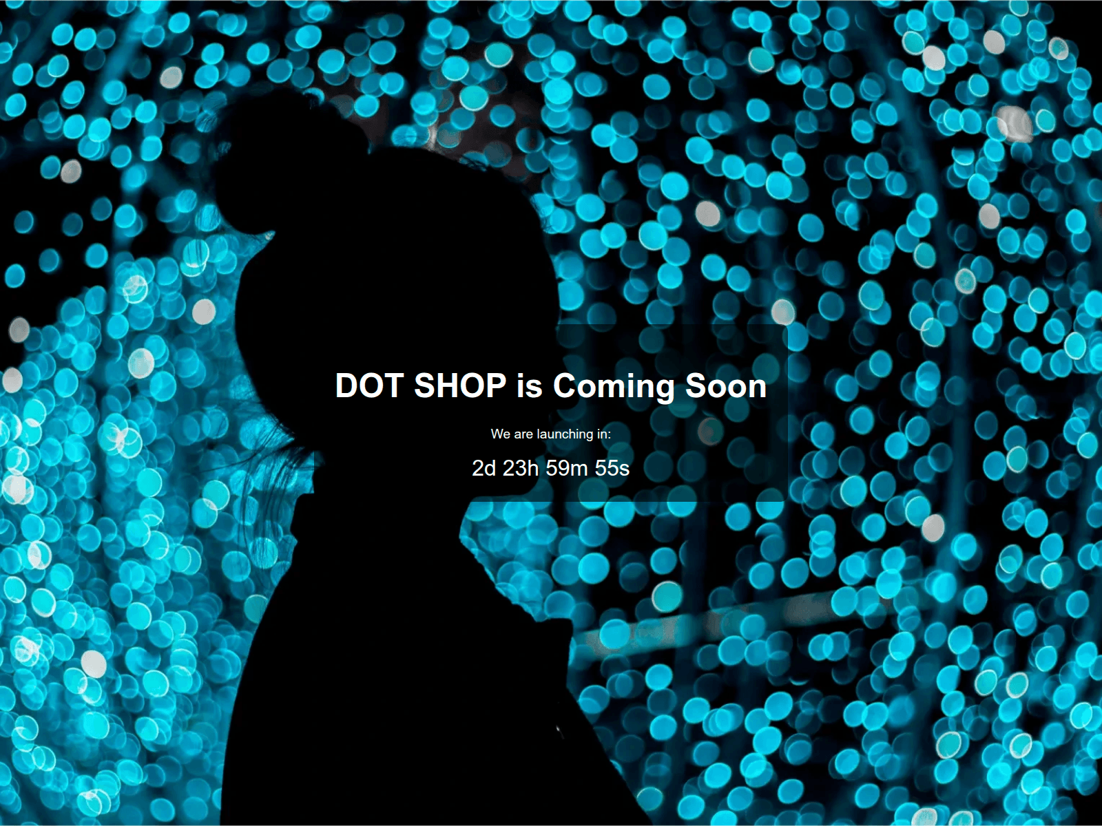 Forensic screenshot of dot-io.cc