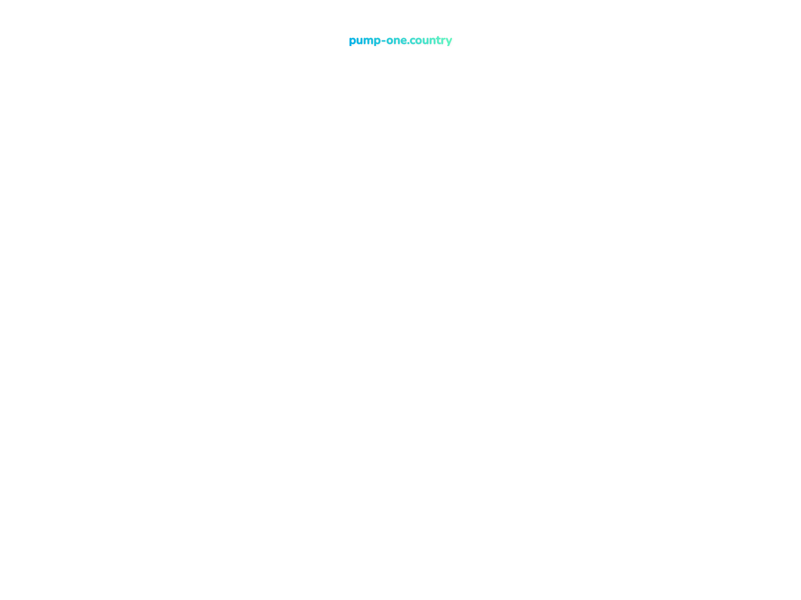 Screenshot of pump-one.country