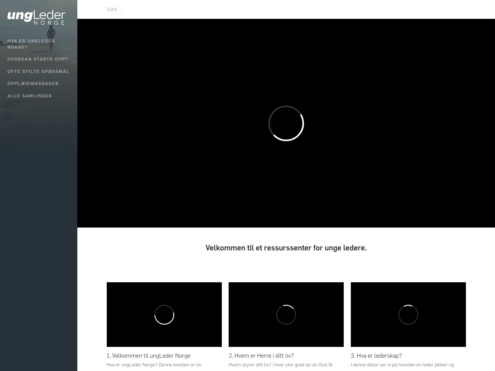 Screenshot of ungleder.no