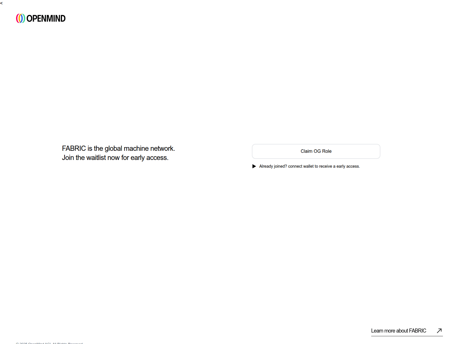 Forensic screenshot of openmind-fabric.web.app