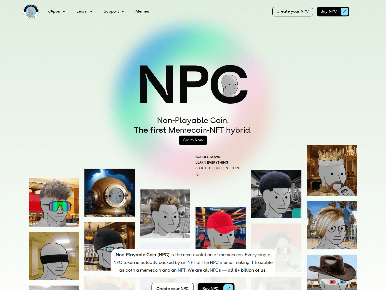 Forensic screenshot of claim.nonplayablecoin.vip