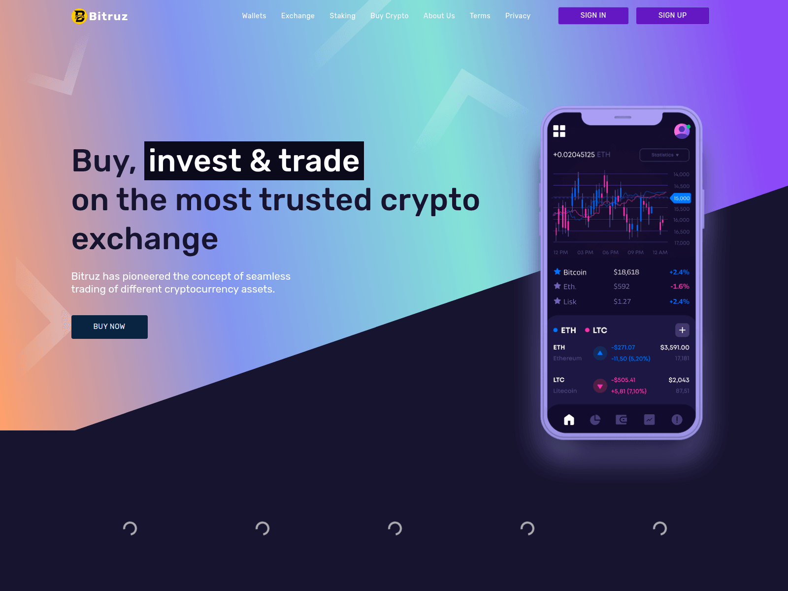 Screenshot of bitruz.com