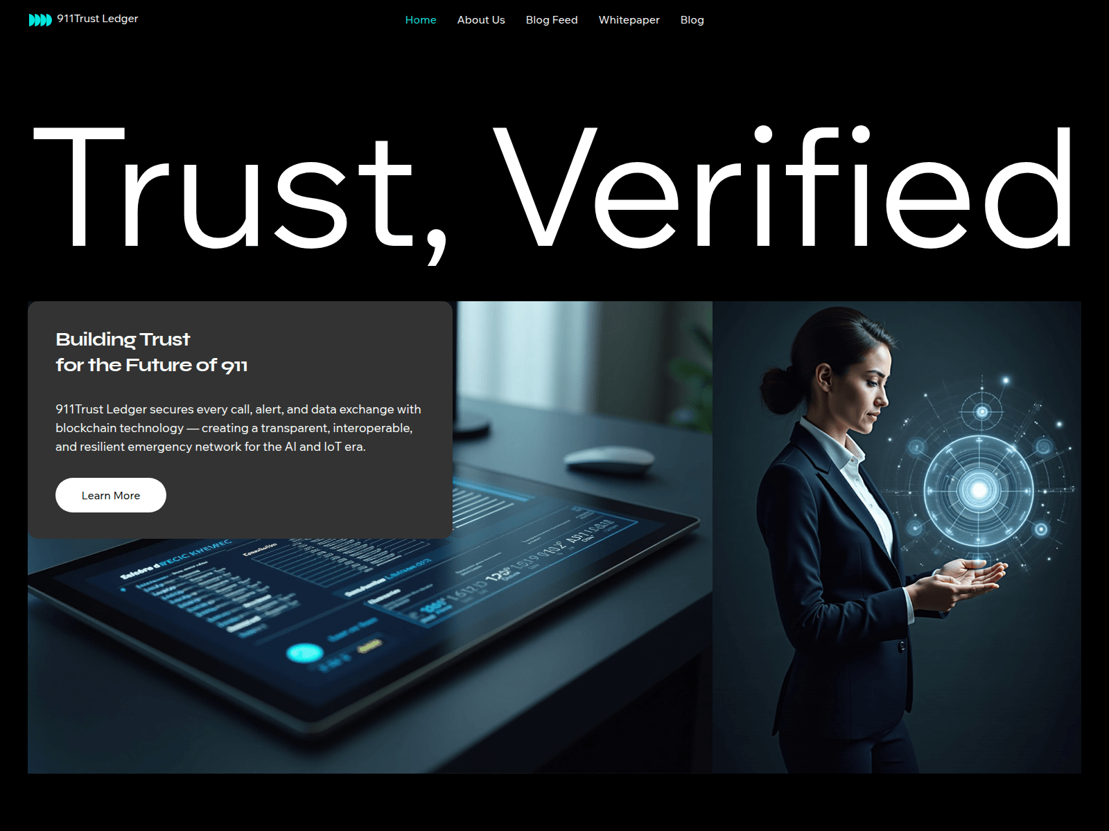 Screenshot of 911trustledger.store