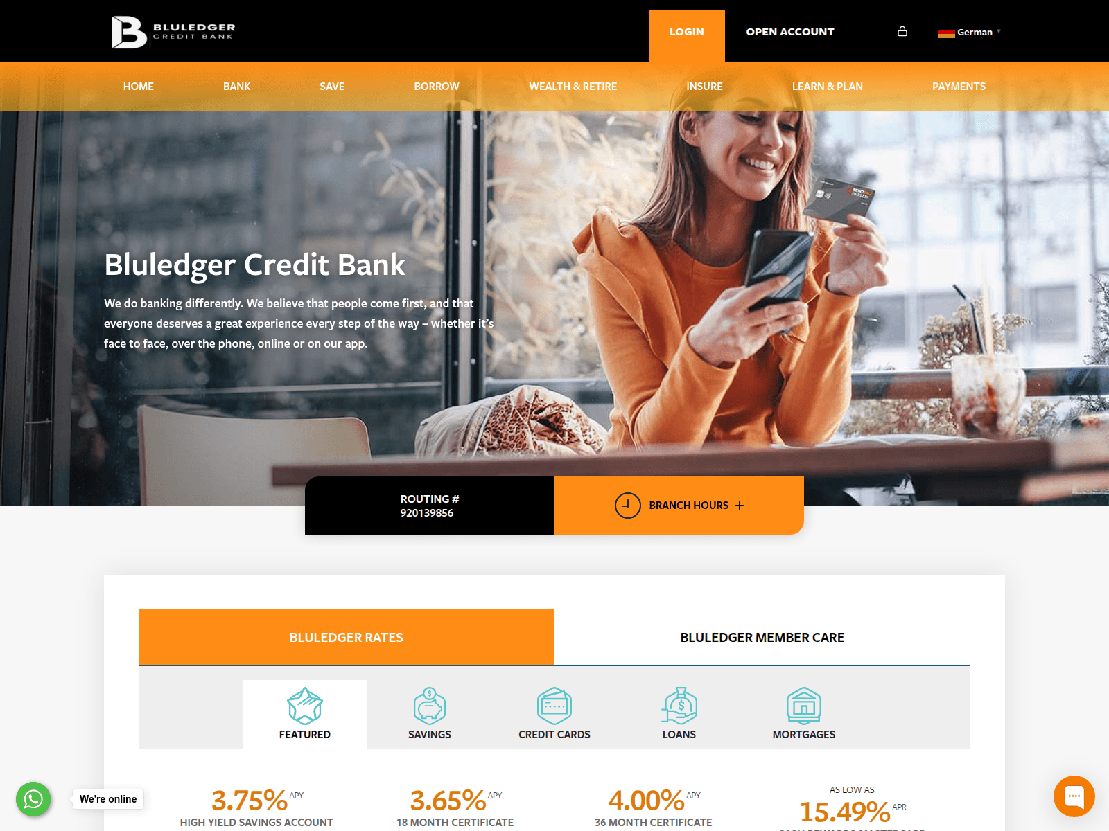 Screenshot of bluledger.com