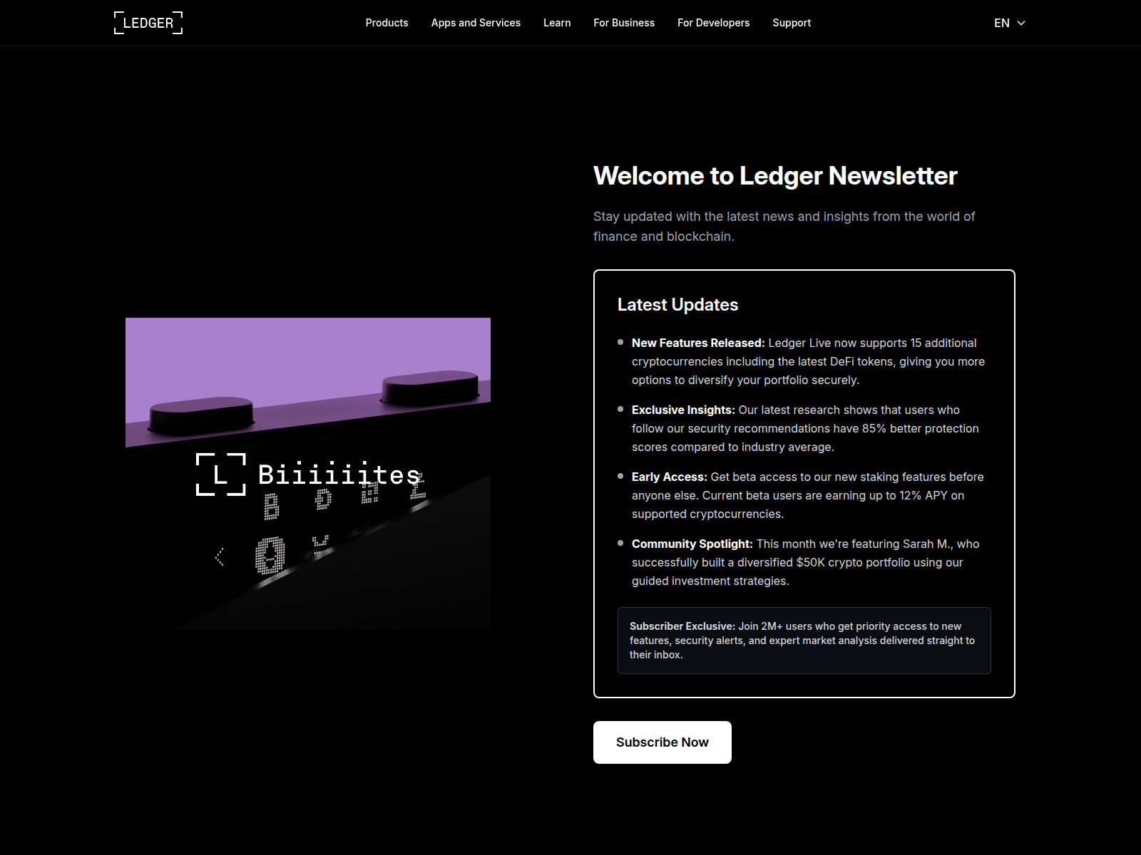Screenshot of ledger-newsletter.com