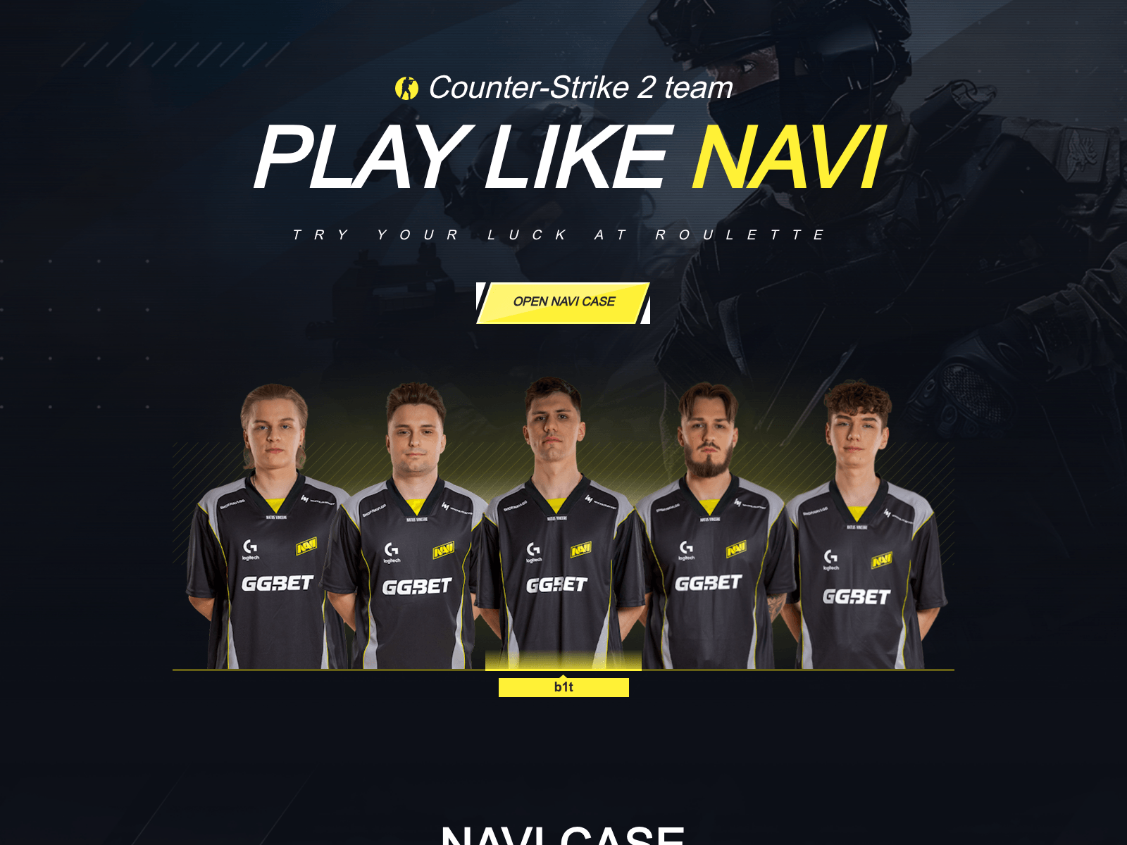 Screenshot of navi44.com