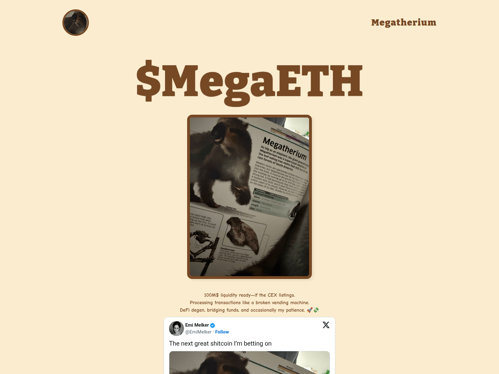 Screenshot of www.megatheriumcoin.vip