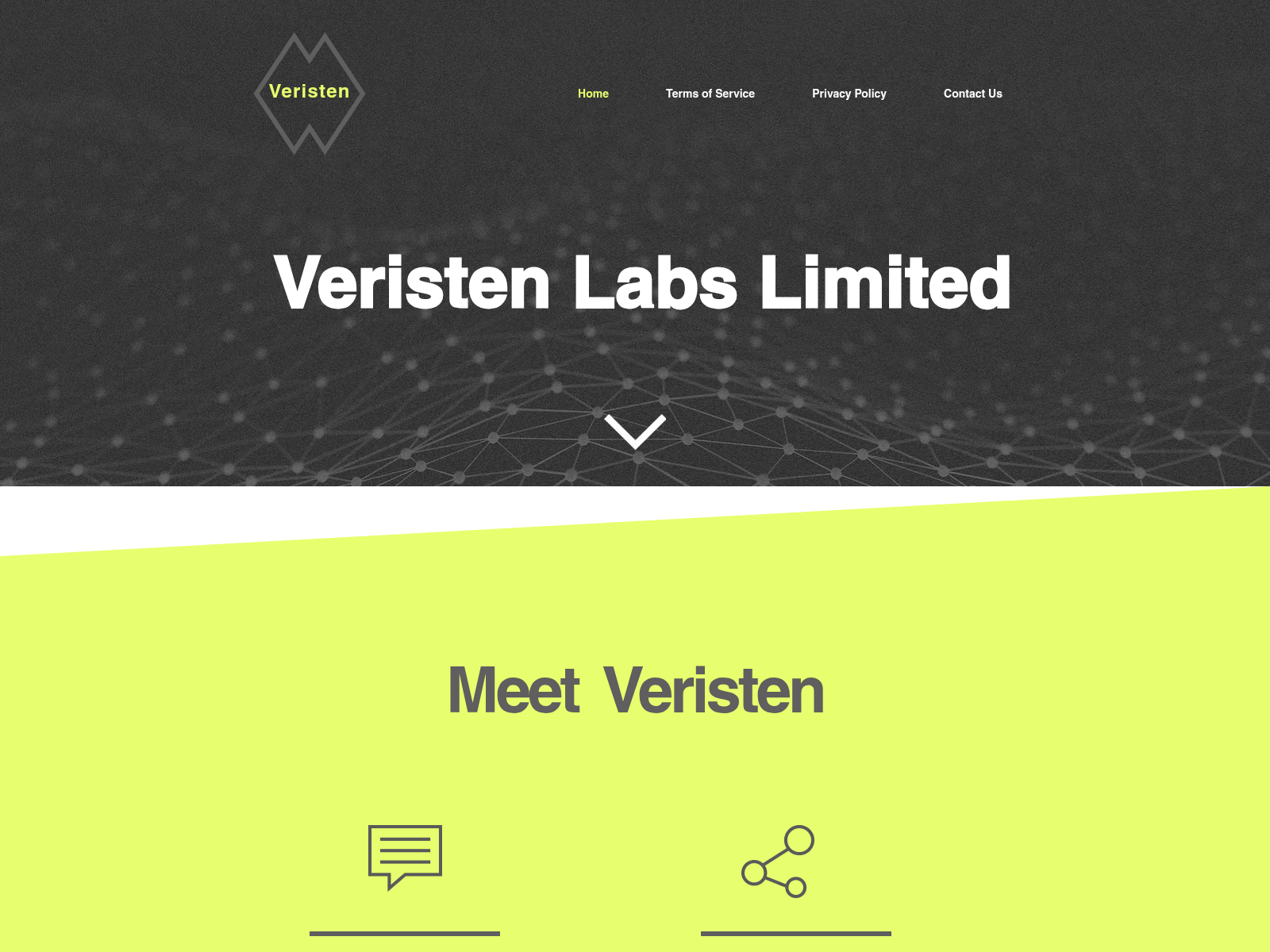 Screenshot of veristenlabs.com