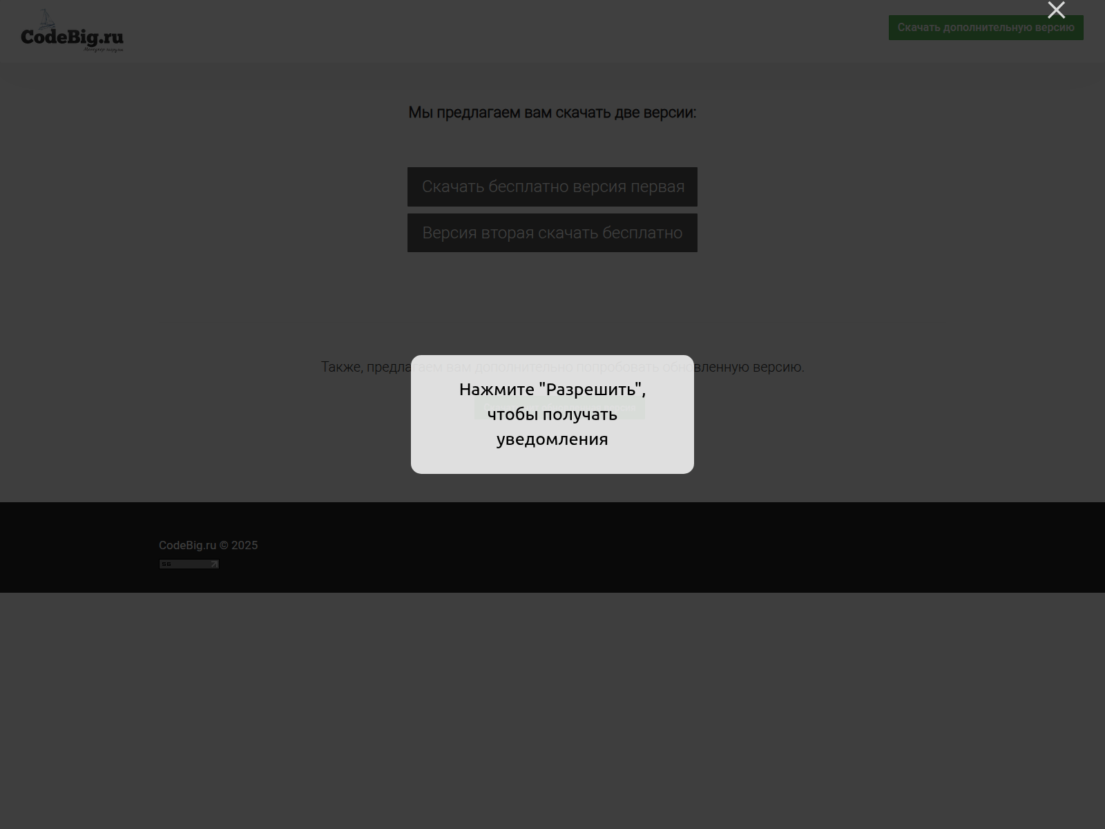 Screenshot of codebig.ru