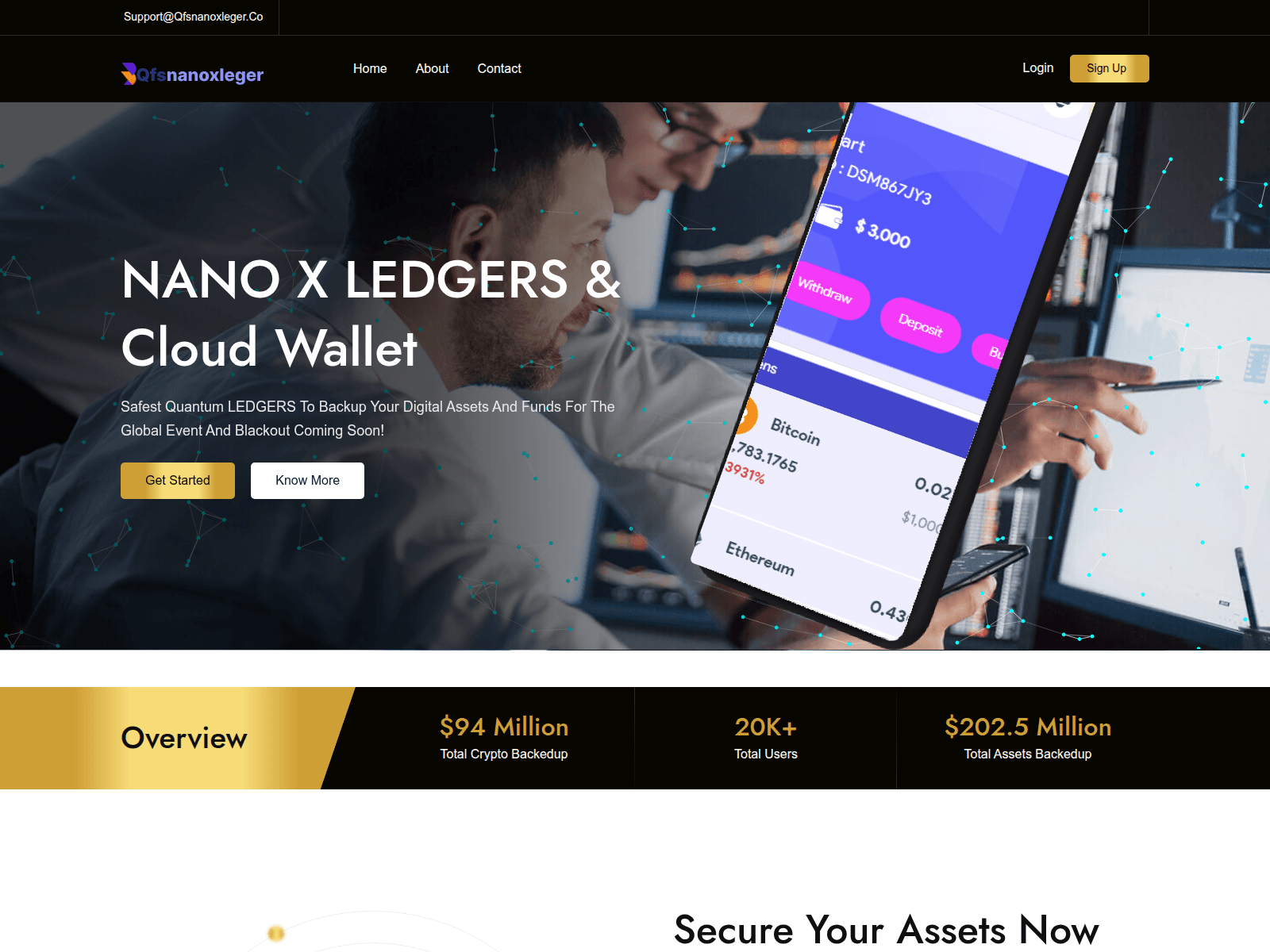 Screenshot of qfsnanoxleger.co