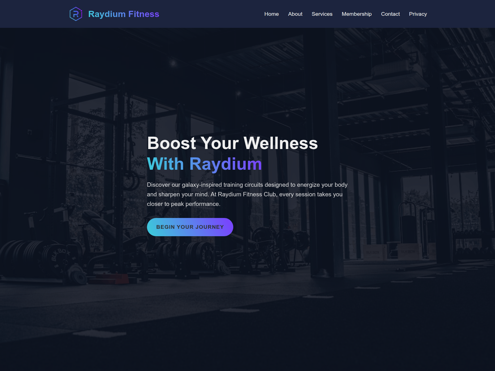 Screenshot of raydium.ai.in
