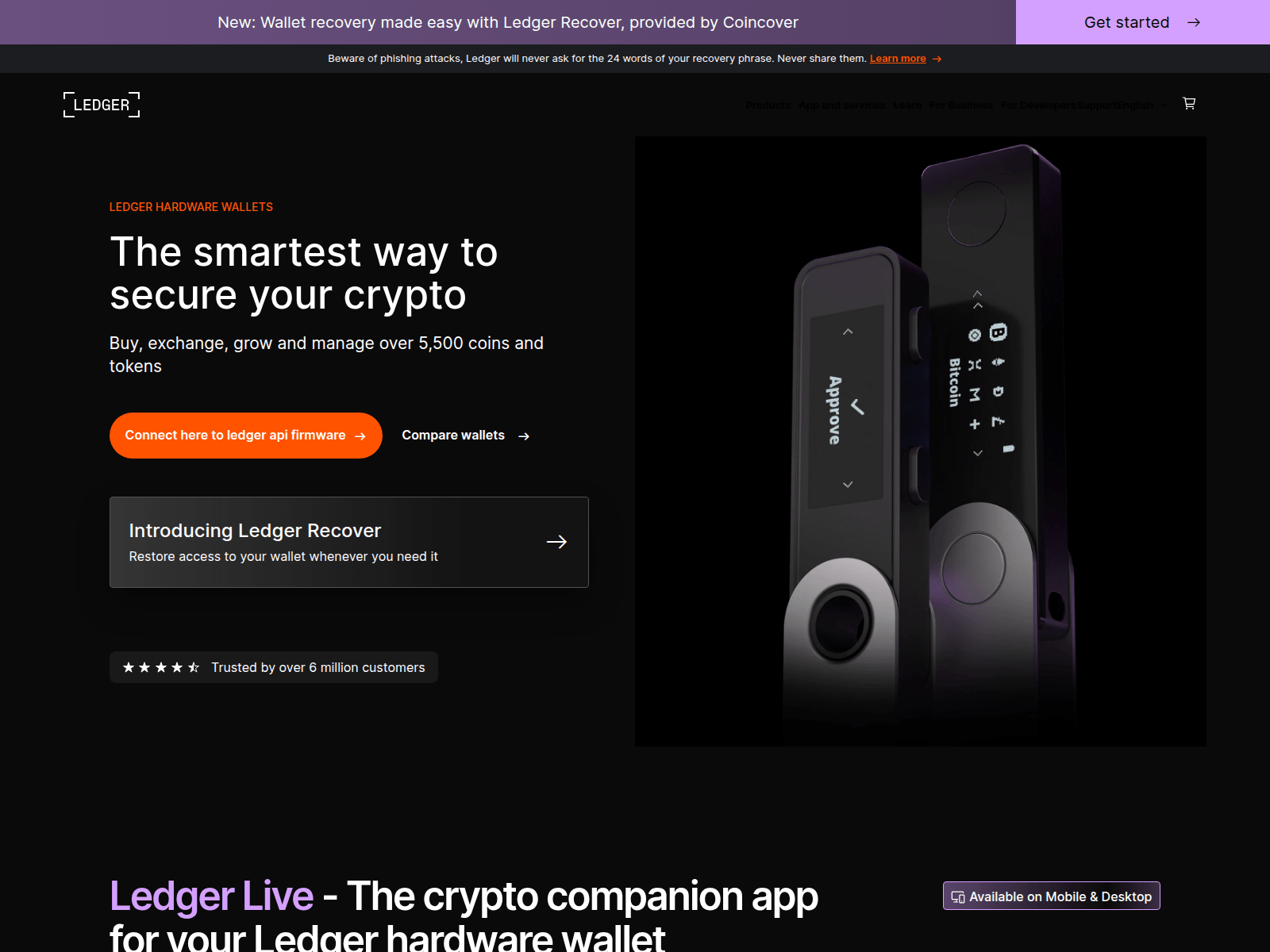 Screenshot of ledgernets.com