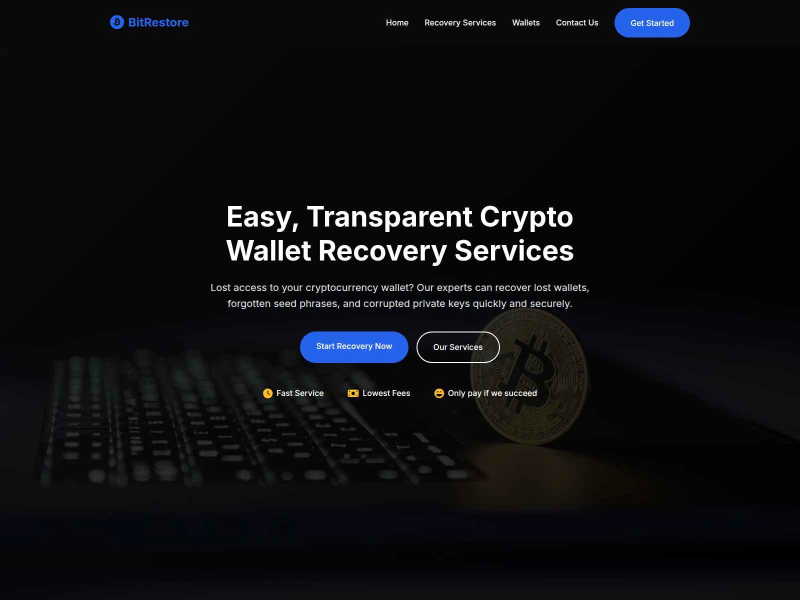 Screenshot of bitwalletrecovery.com