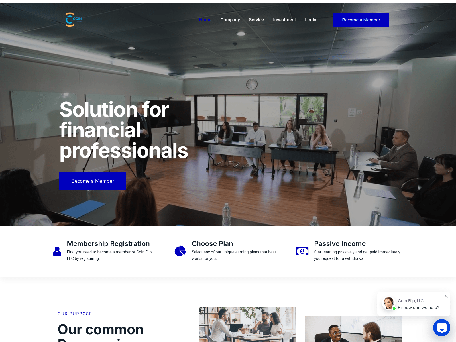 [Ekran görüntüsü] coinflipllc.com