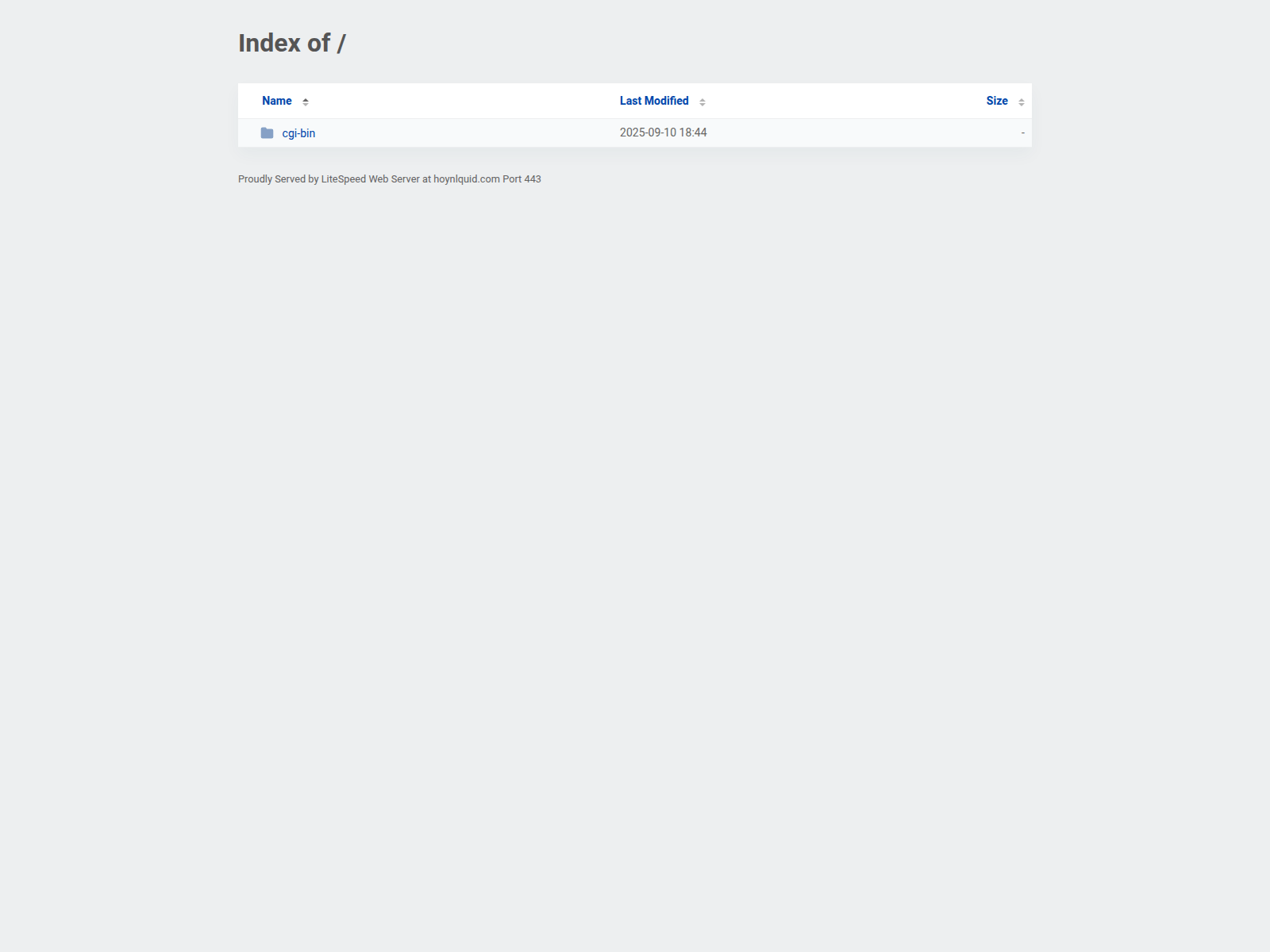 Screenshot of hoynlquid.com