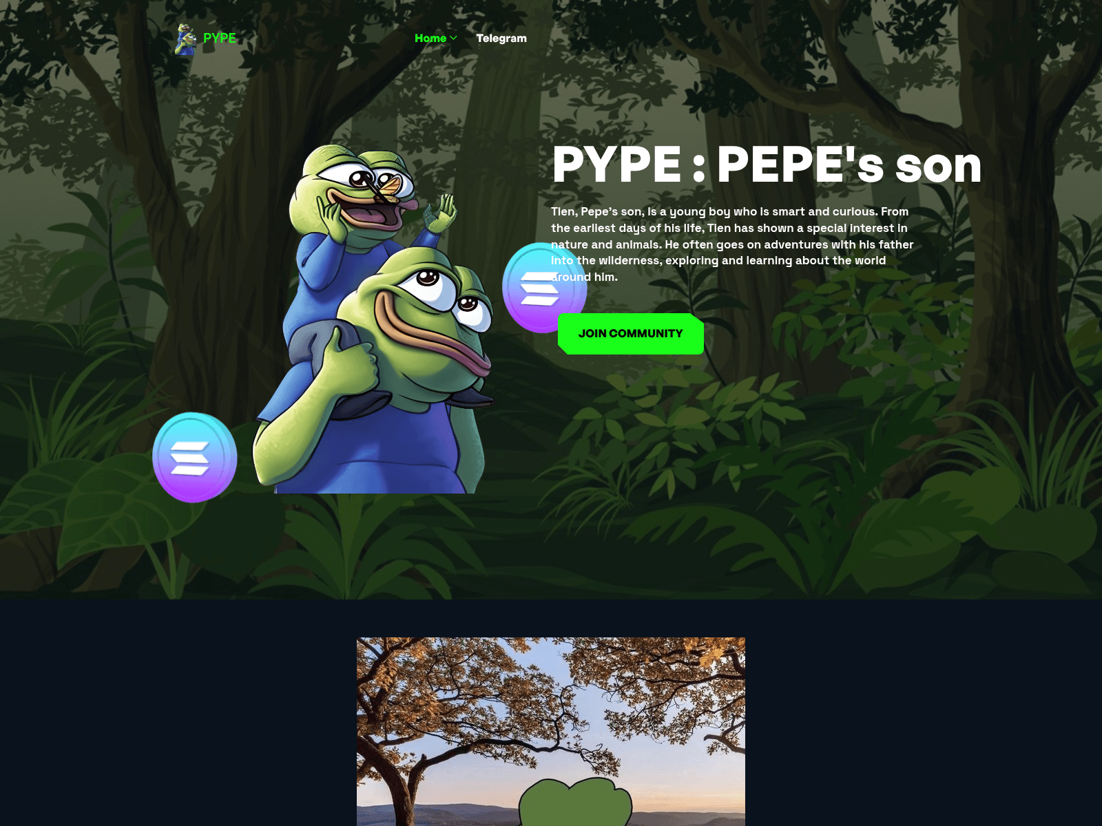 Screenshot of pypesolana-xyz.pages.dev