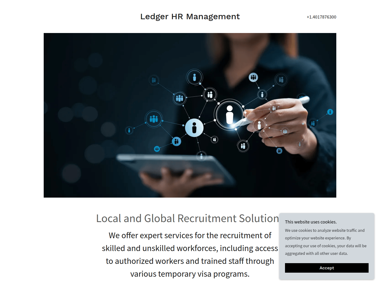 Screenshot of ledgerhrmanagement.com