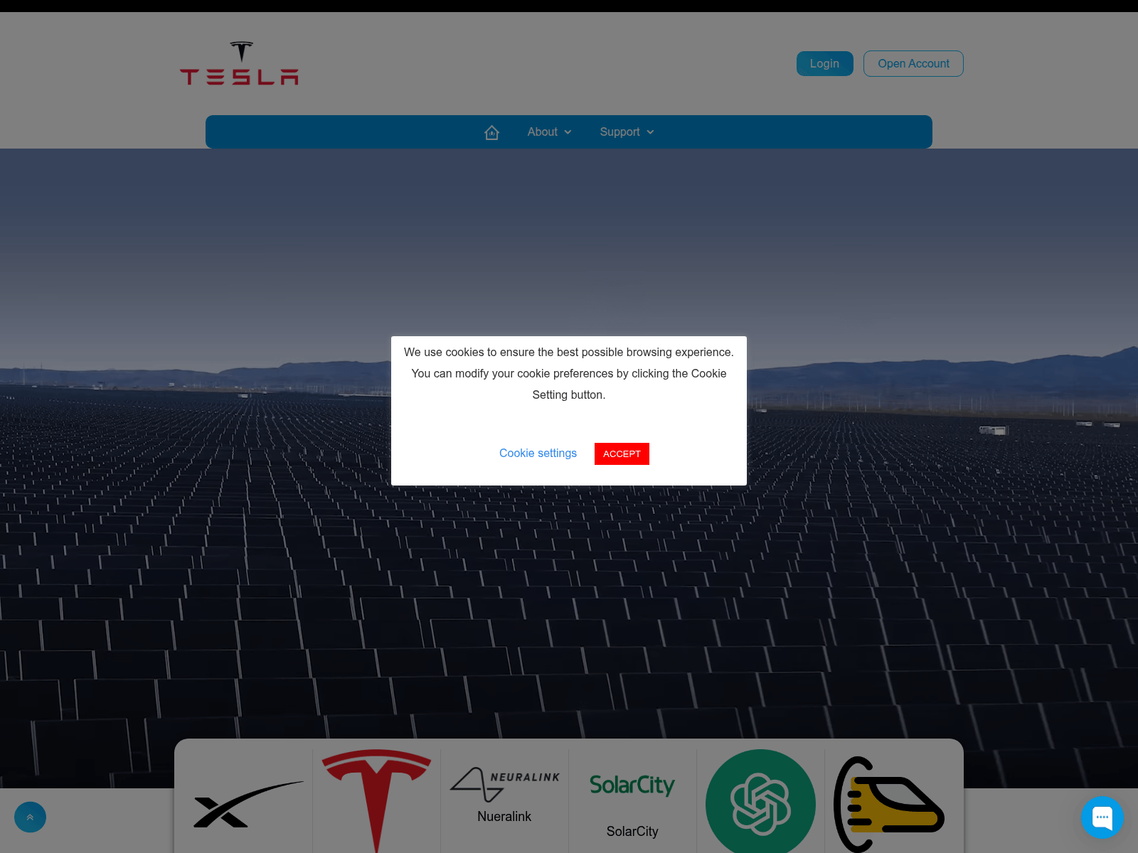 Screenshot of spacexvoyagerstocks.com