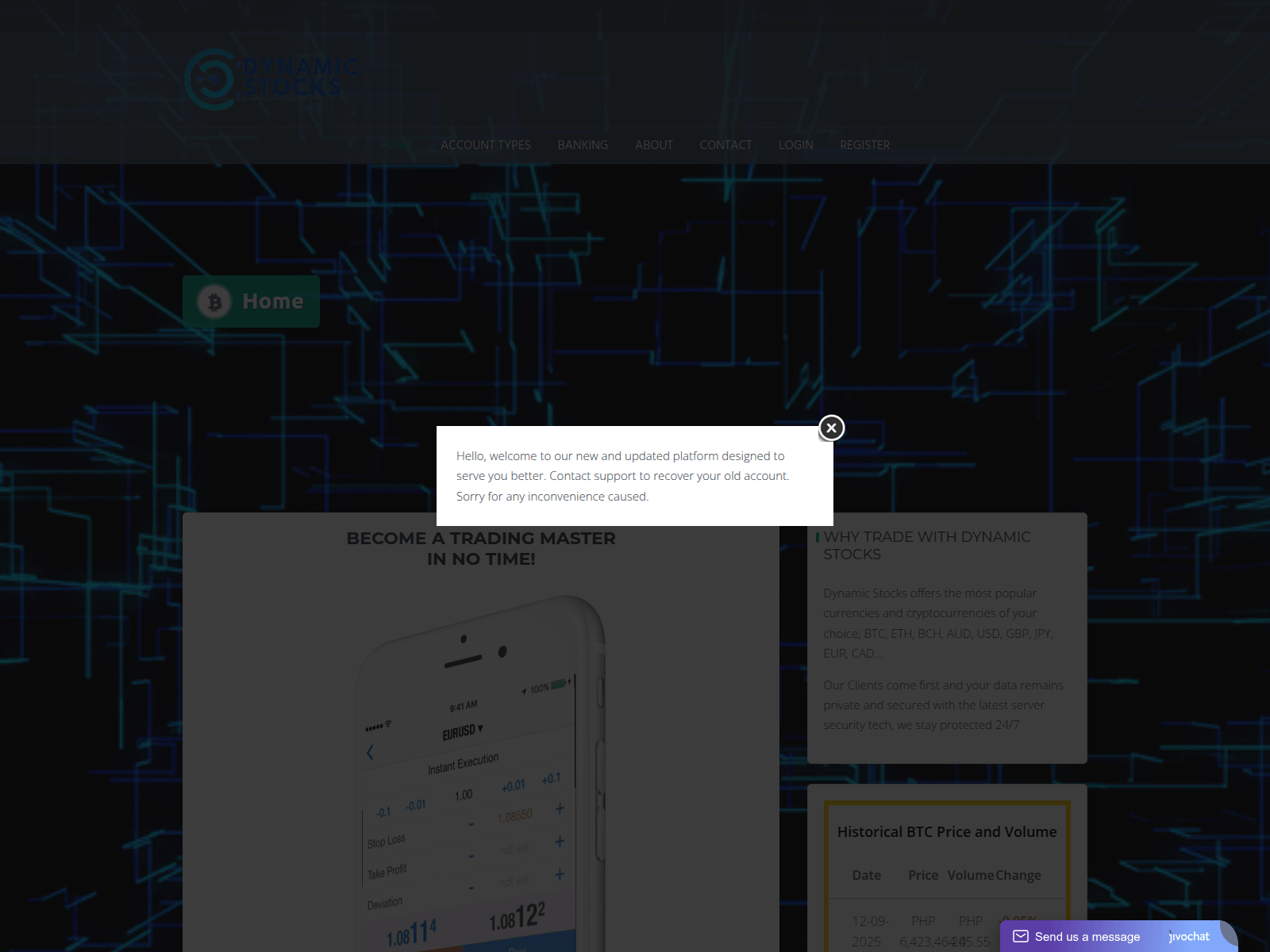 Screenshot of dynamicstocks.live