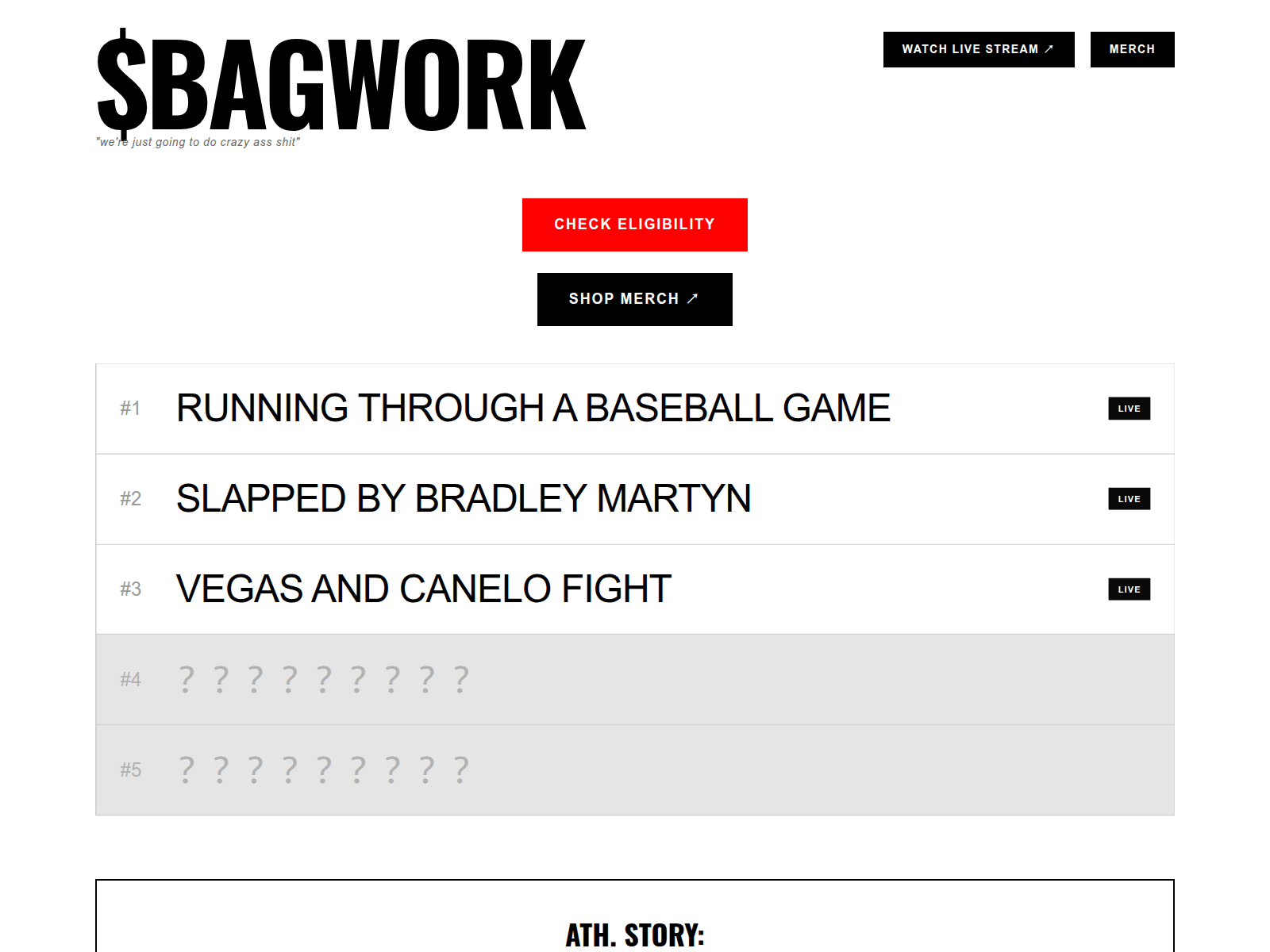 Screenshot of bagwork.net