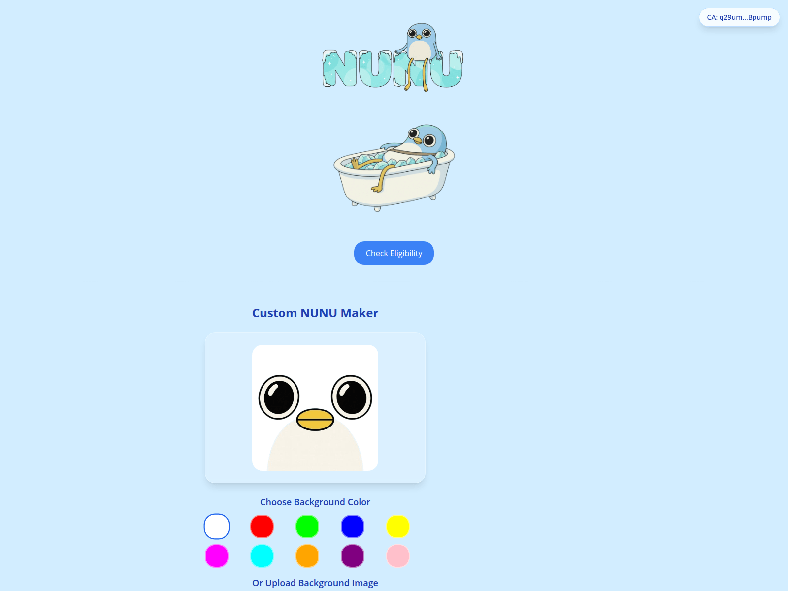 Screenshot of nunusolana.com
