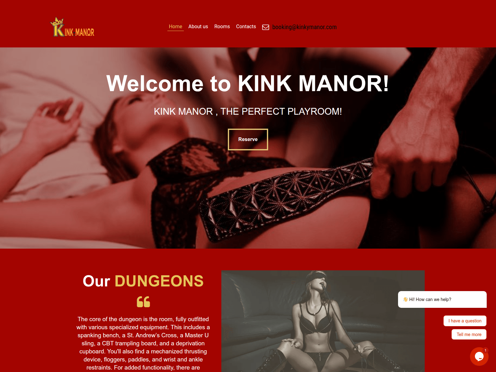 Screenshot of kinkymanor.com