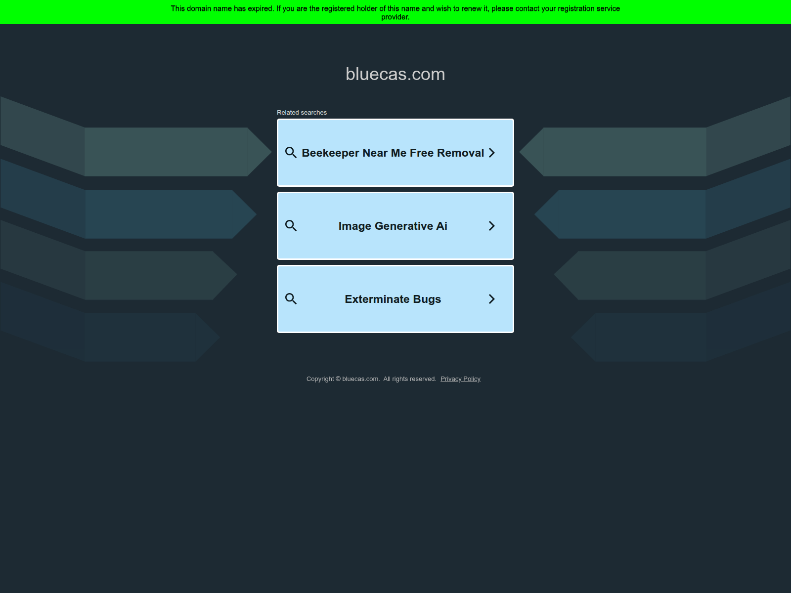 Screenshot of bluecas.com