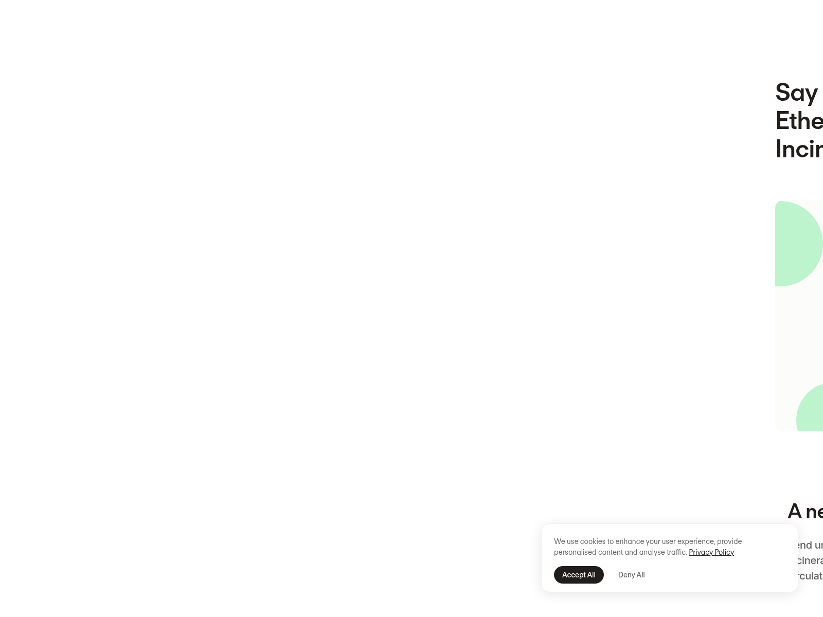Screenshot of incinerate-ethereum.com