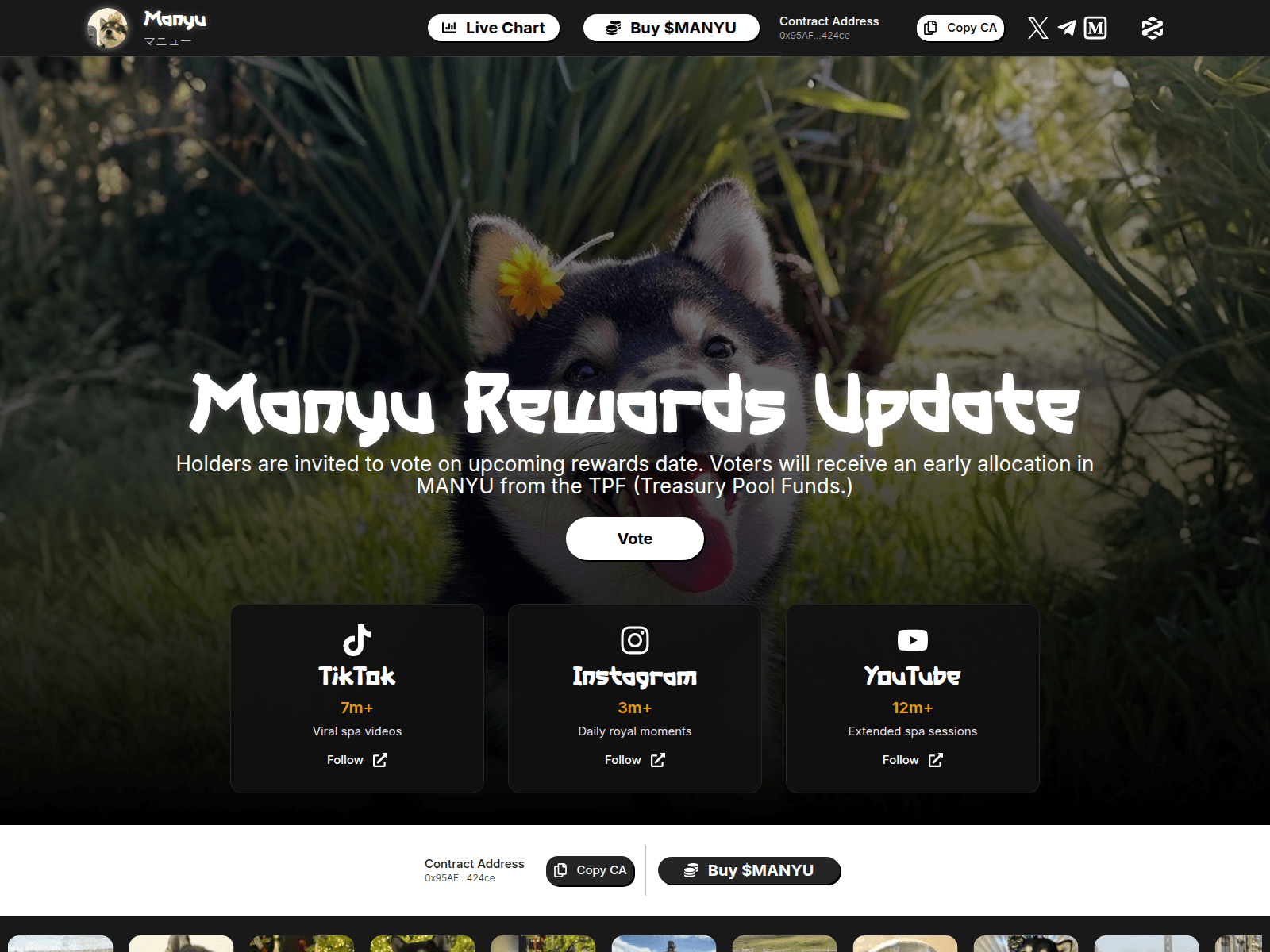 Screenshot of voting-manyushib.info