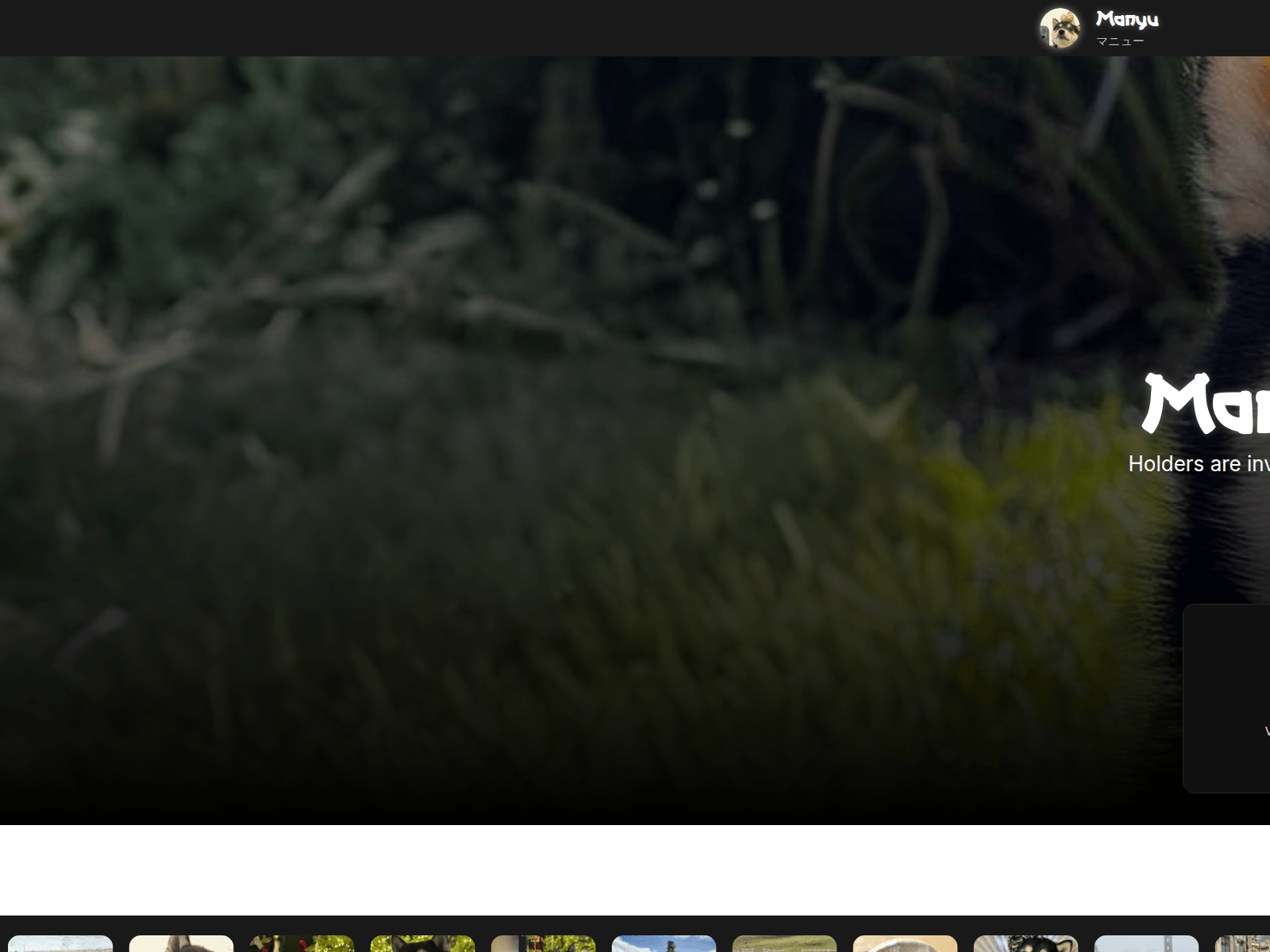Screenshot of manyushib.votings.workers.dev